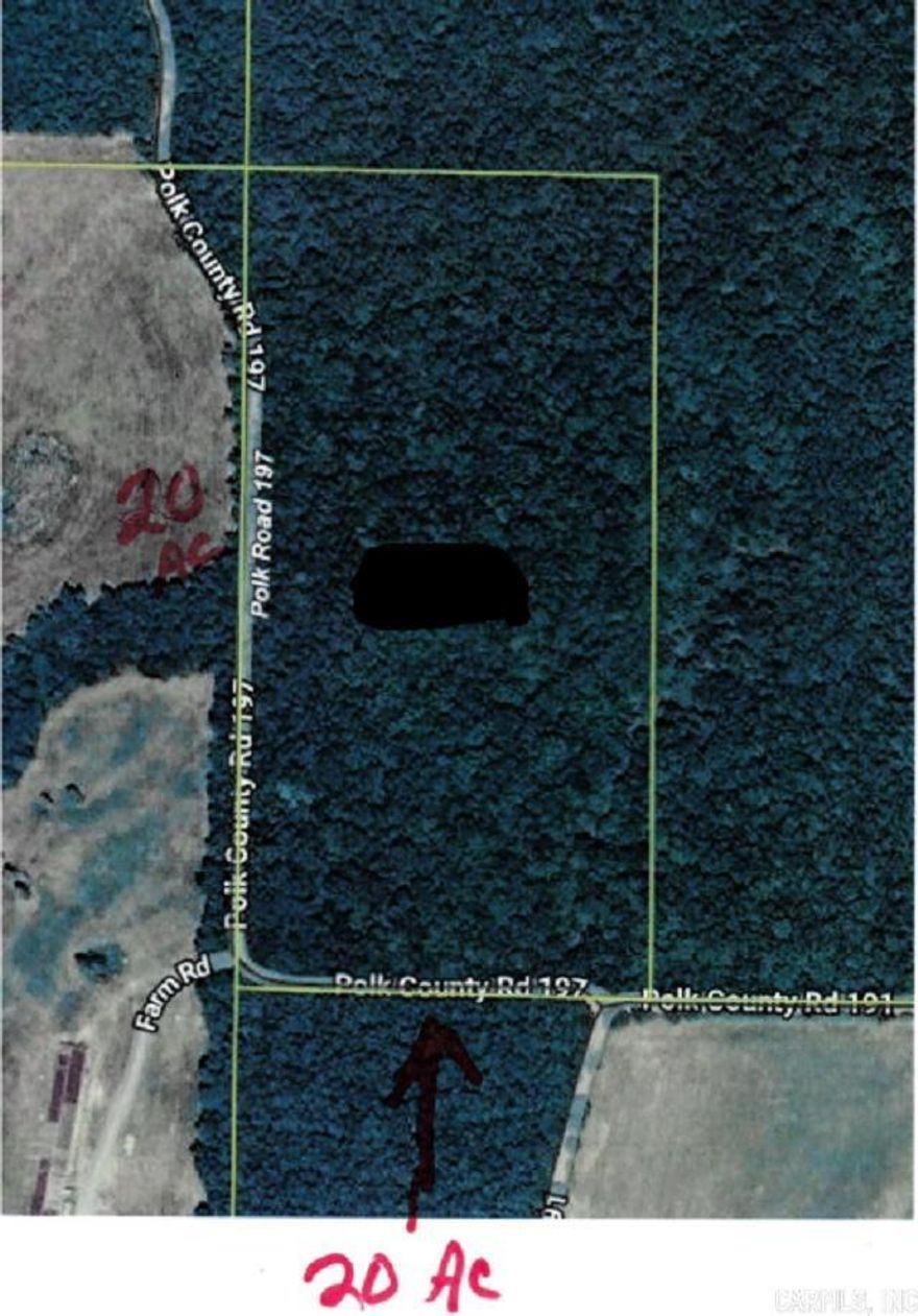 This 20 ACRES contains a multitude of towering, old growth timber that gives the property a feeling of enchantment.  With roads on 2 sides, there is easy access to it from the south or the west.  The Ouachita National Forest is 1/2 mile away, if you want to go wild;  and the beautiful city of Mena, Arkansas is only 12 miles away, for normal things like school, shopping and work.  As a special home place, or as a solid investment, you cannot go wrong with this one.  One half of the mineral rights owned by the seller to transfer.  More land available.  Come see it soon.