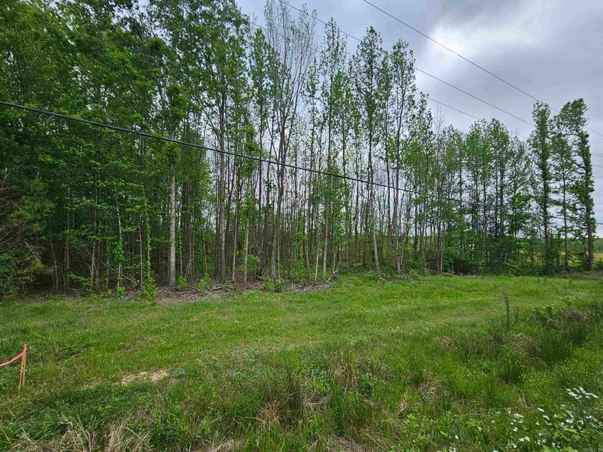 Build your dream home on this beautiful 1.15-acre property! With no restrictions, you have endless possibilities—whether you're looking to build a custom home, place a mobile home, or invest for the future. Enjoy a peaceful setting with plenty of space to make your vision a reality.