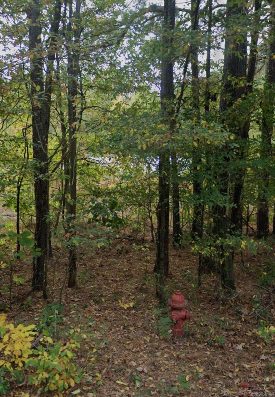 Beautiful site. Annual taxes are for all parcels, according to courthouse data