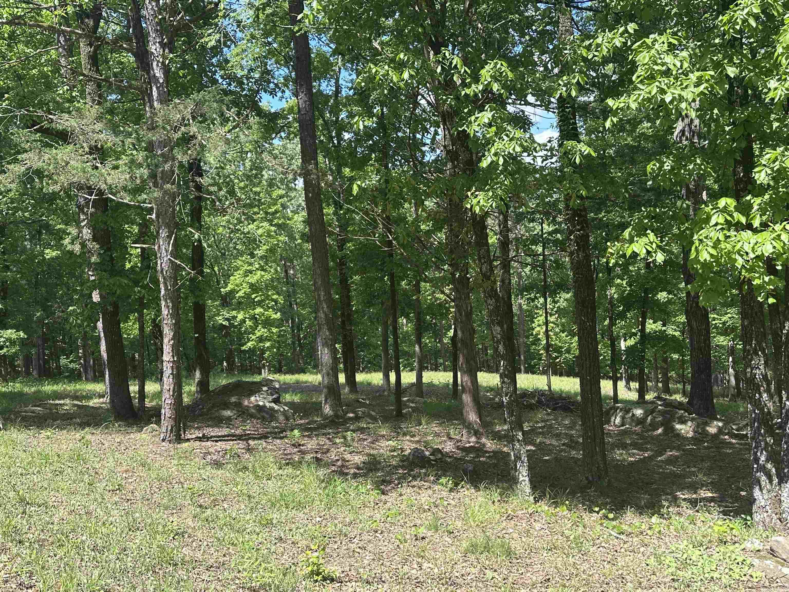Driftwood Shores Estates - Land