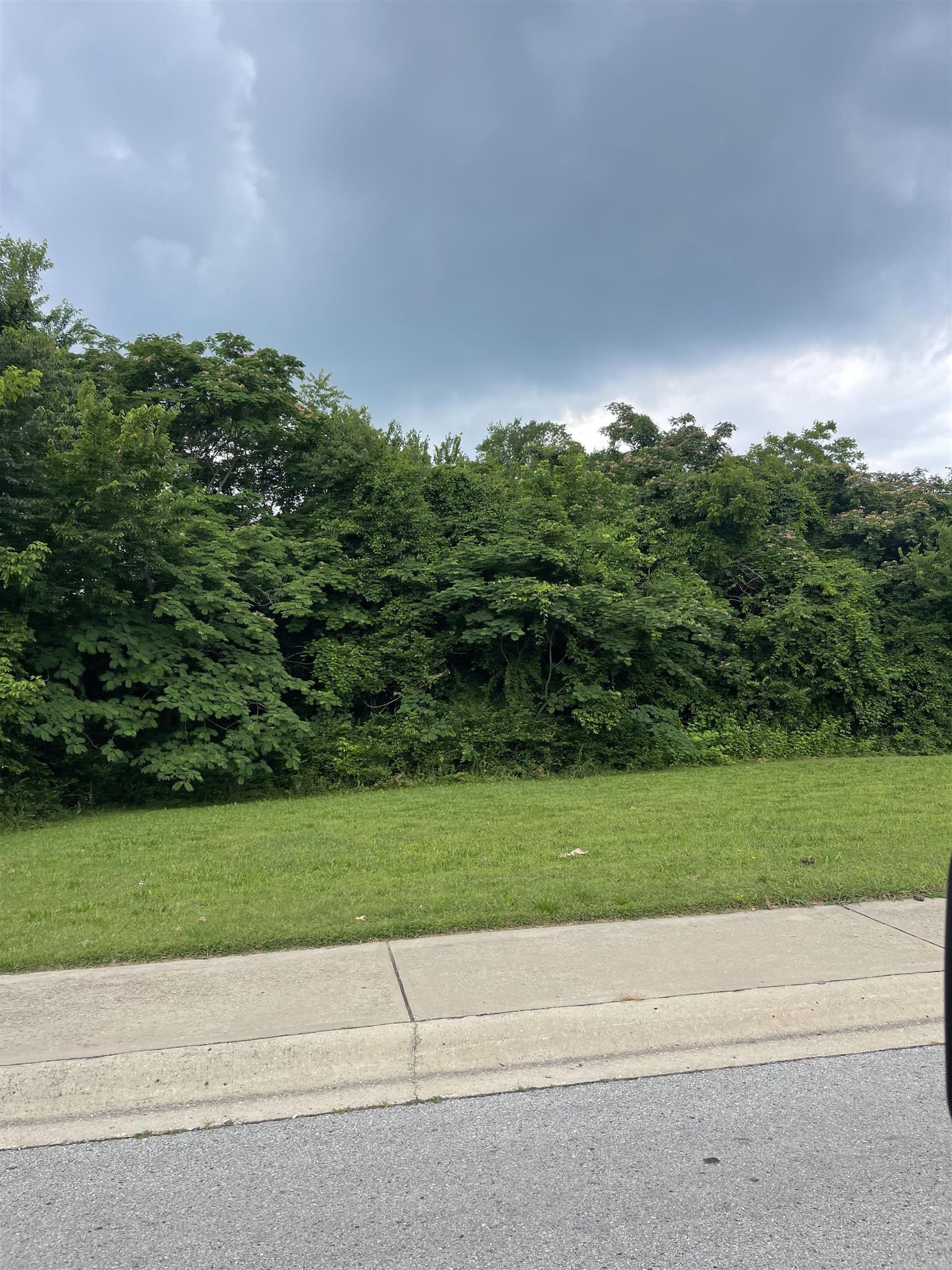 Nice wooded lot located in the heart of Mountain Home, Arkansas. Approximately half acre and zoned C-3. All city utilities. In location of grocery store, bank, restaurants and more.
