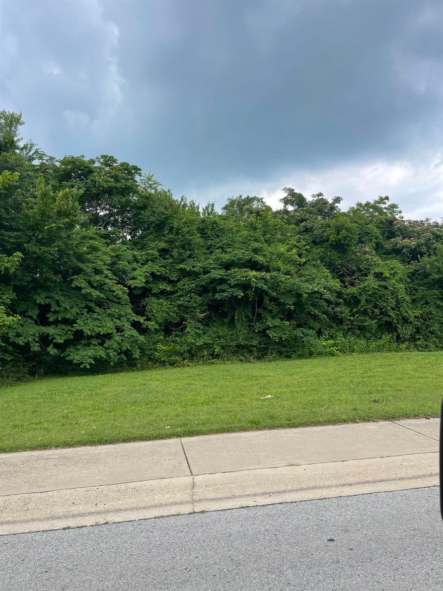 Nice wooded lot located in the heart of Mountain Home, Arkansas.  Approximately half acre and zoned C-3. All city utilities.  In location of grocery store, bank, restaurants and more.