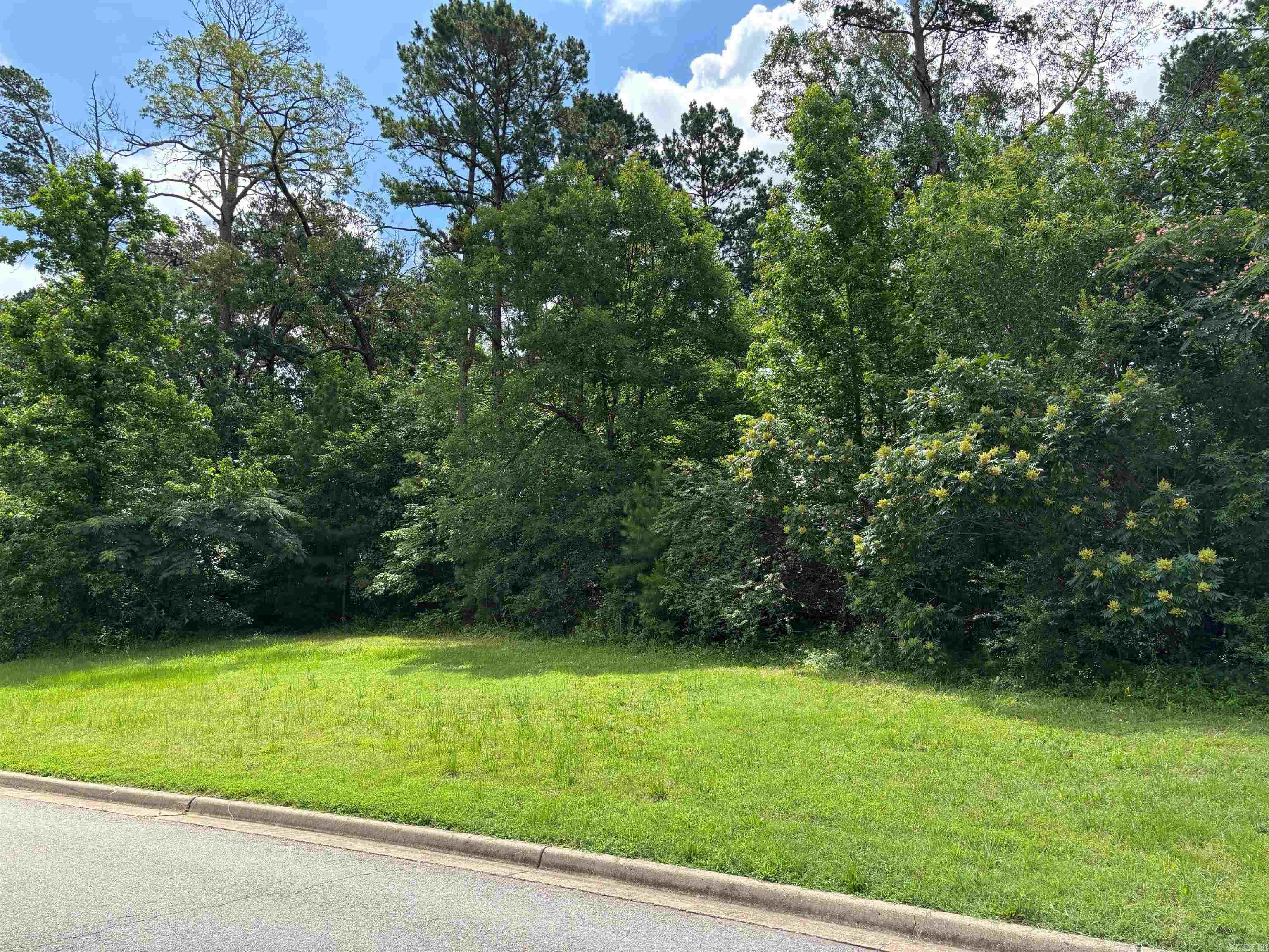 ARLINGTON PARK - Land