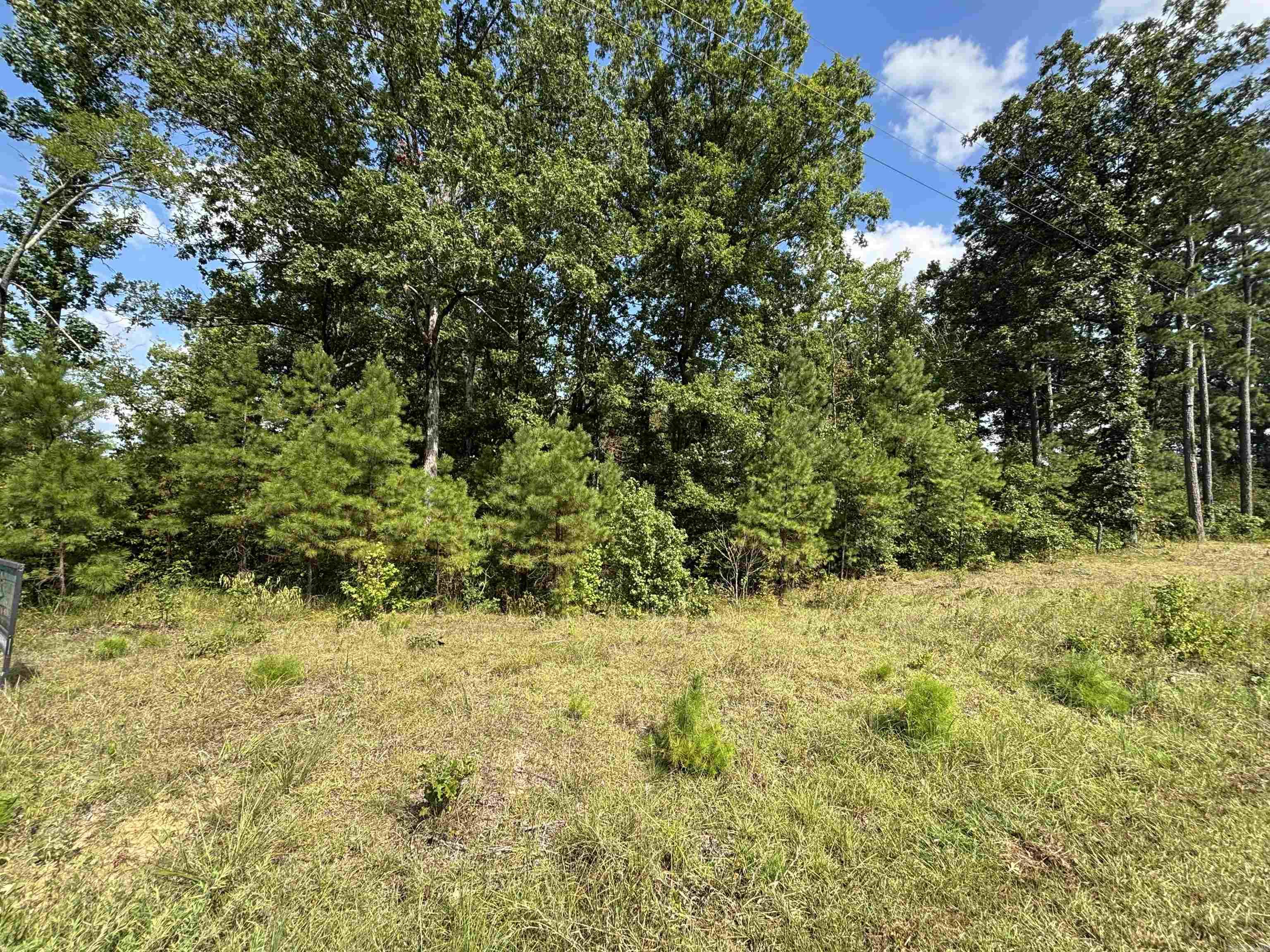 CANE CREEK ACRES - Land