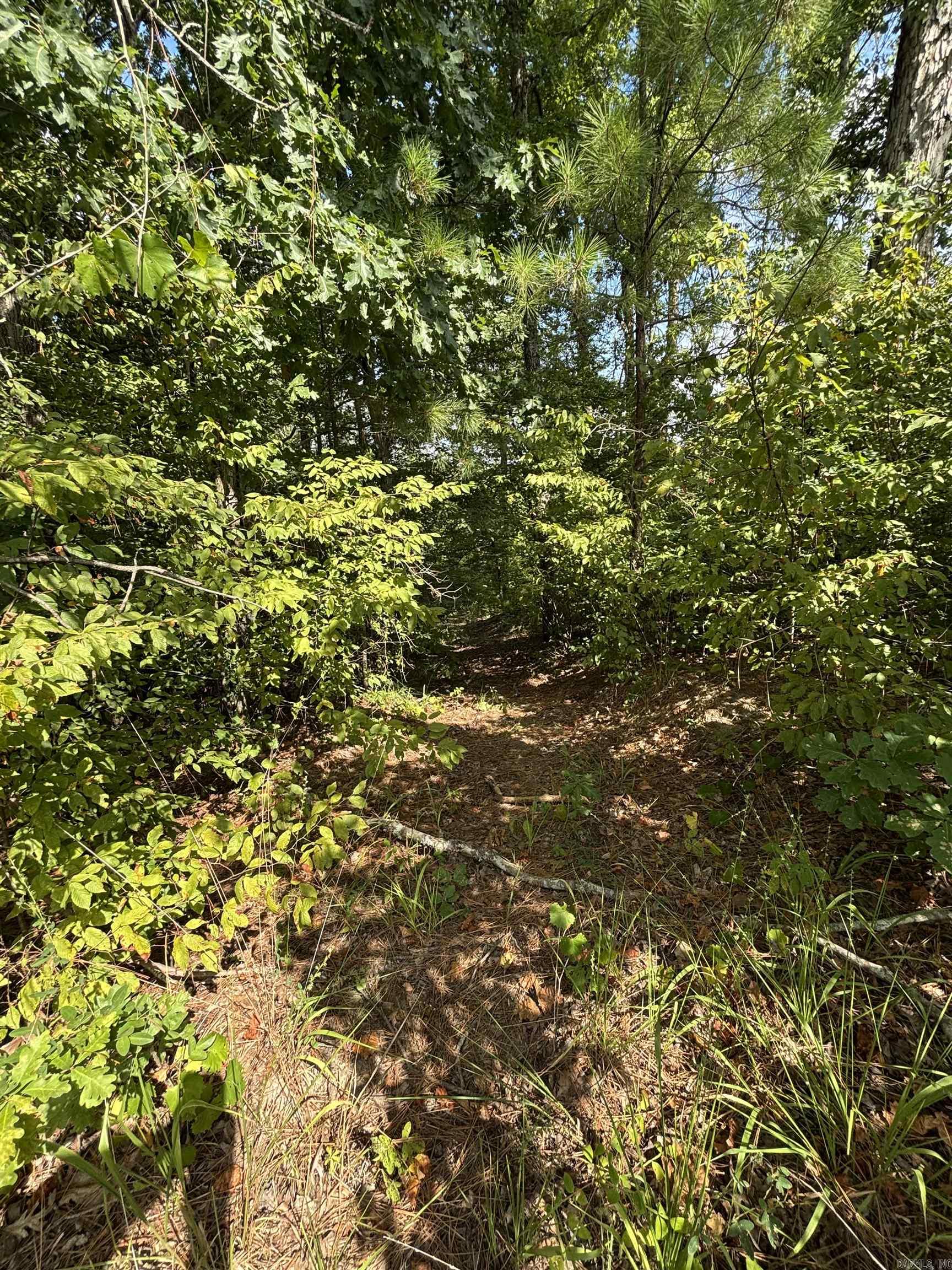 CANE CREEK ACRES - Land