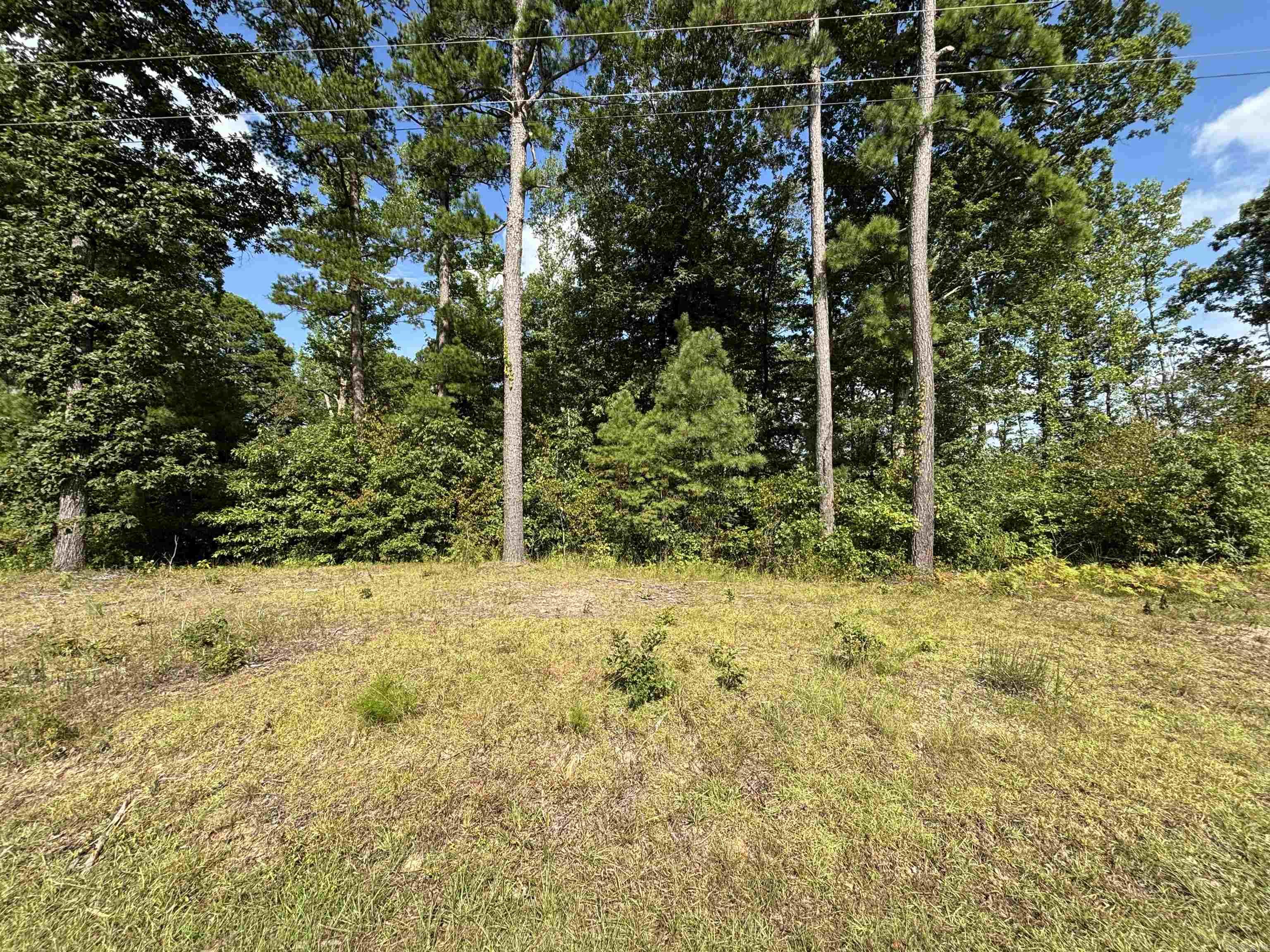 CANE CREEK ACRES - Land