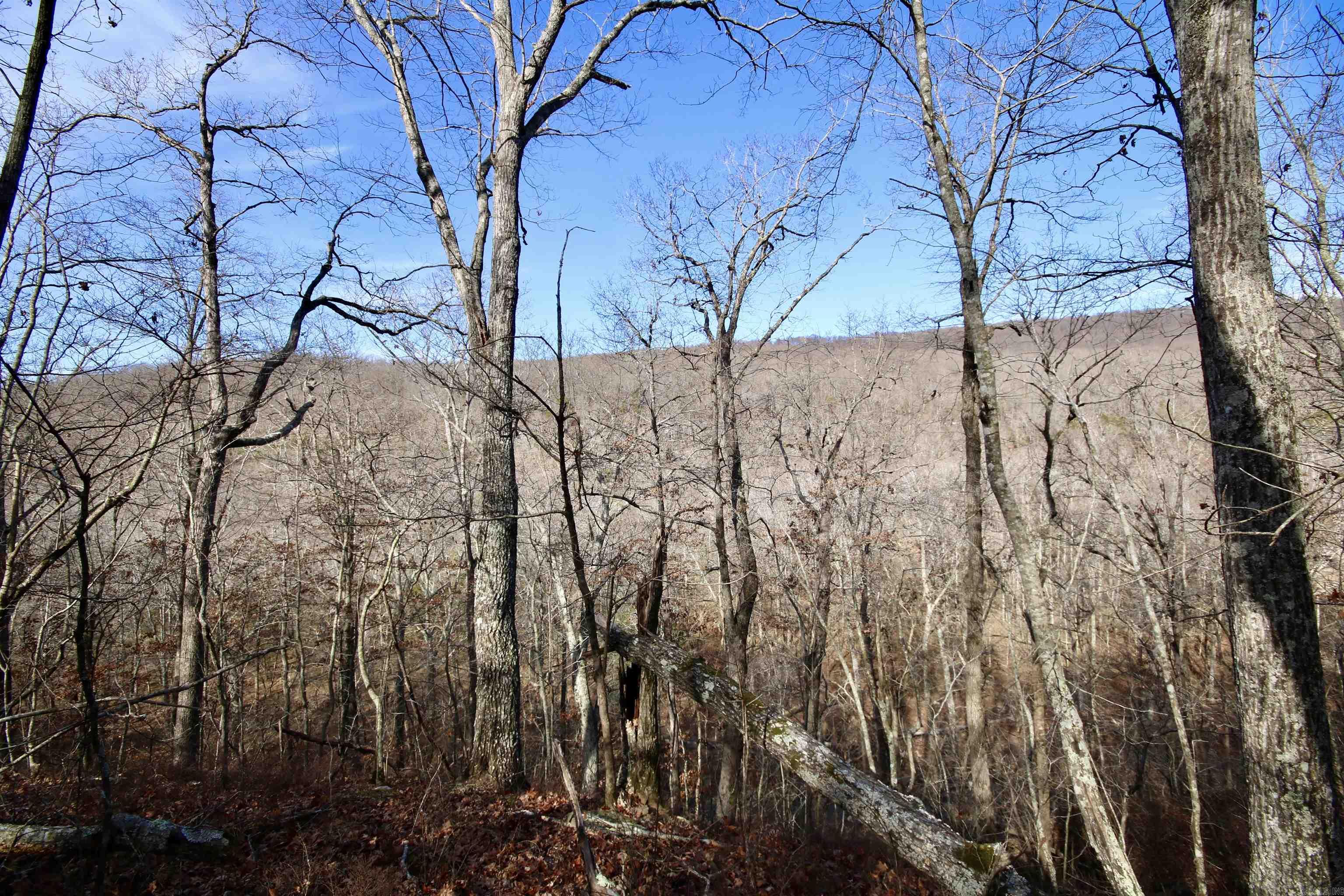 Wilderness Run - Land