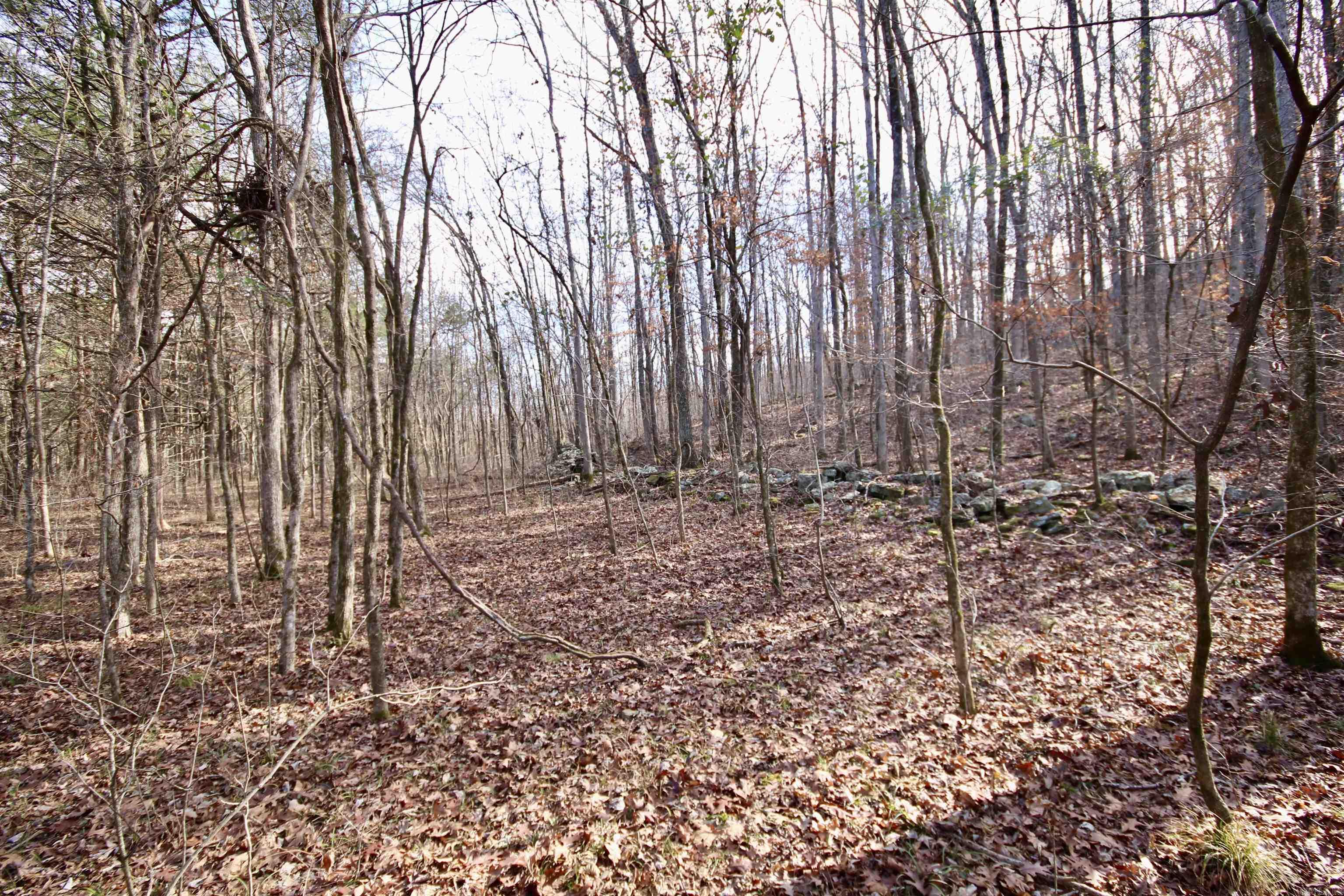 Wilderness Run - Land