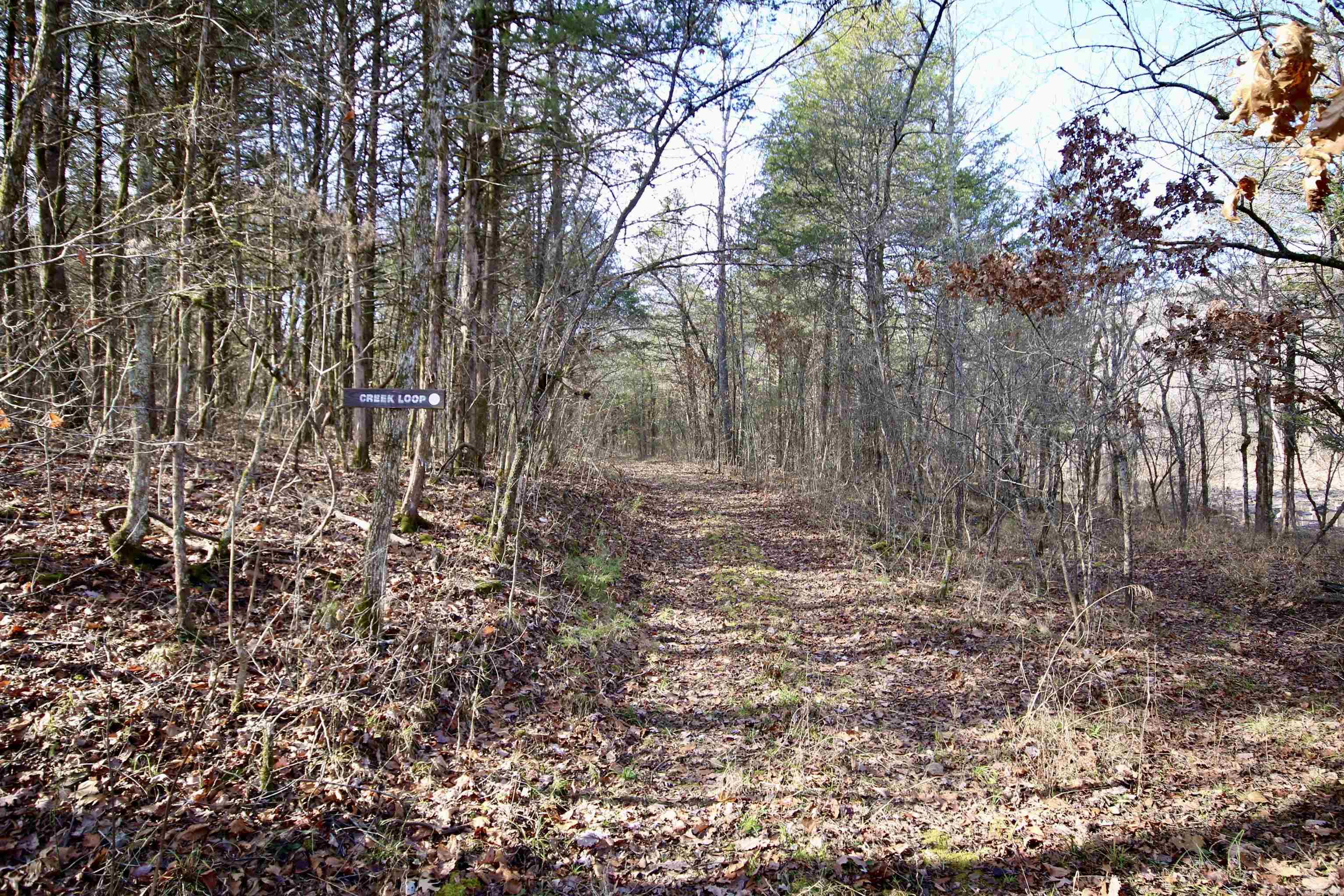 Wilderness Run - Land