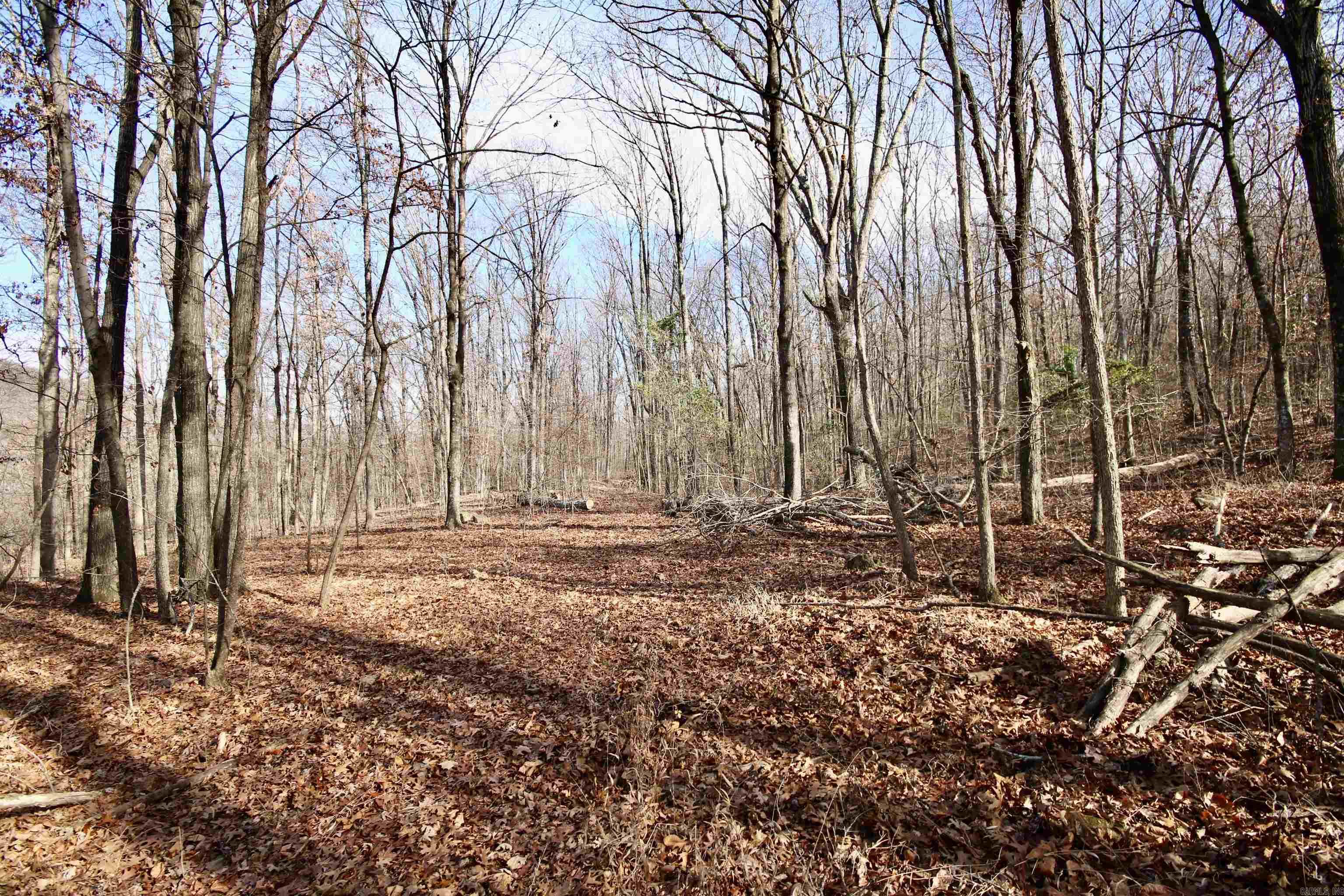 Wilderness Run - Land