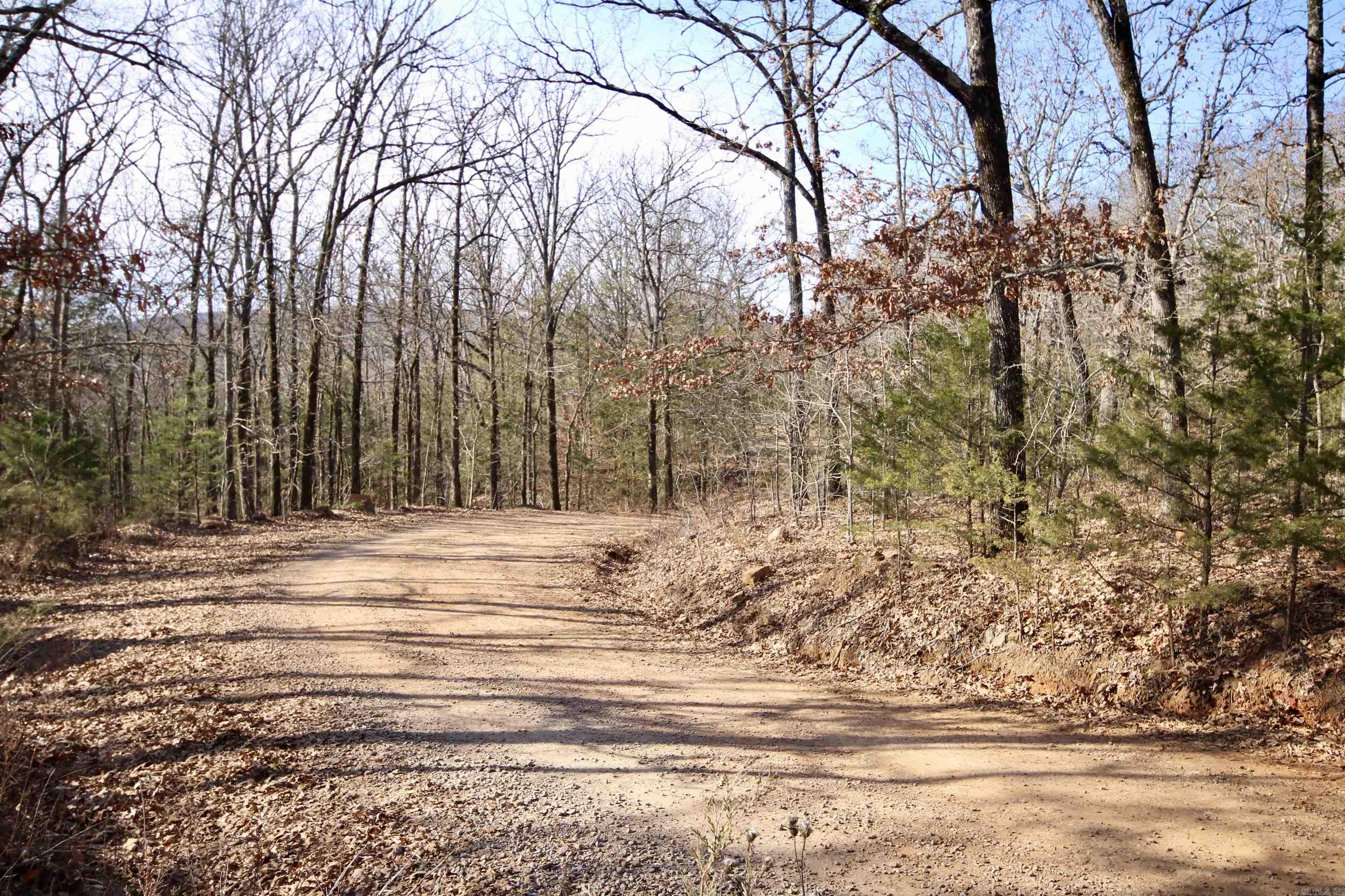 Wilderness Run - Land