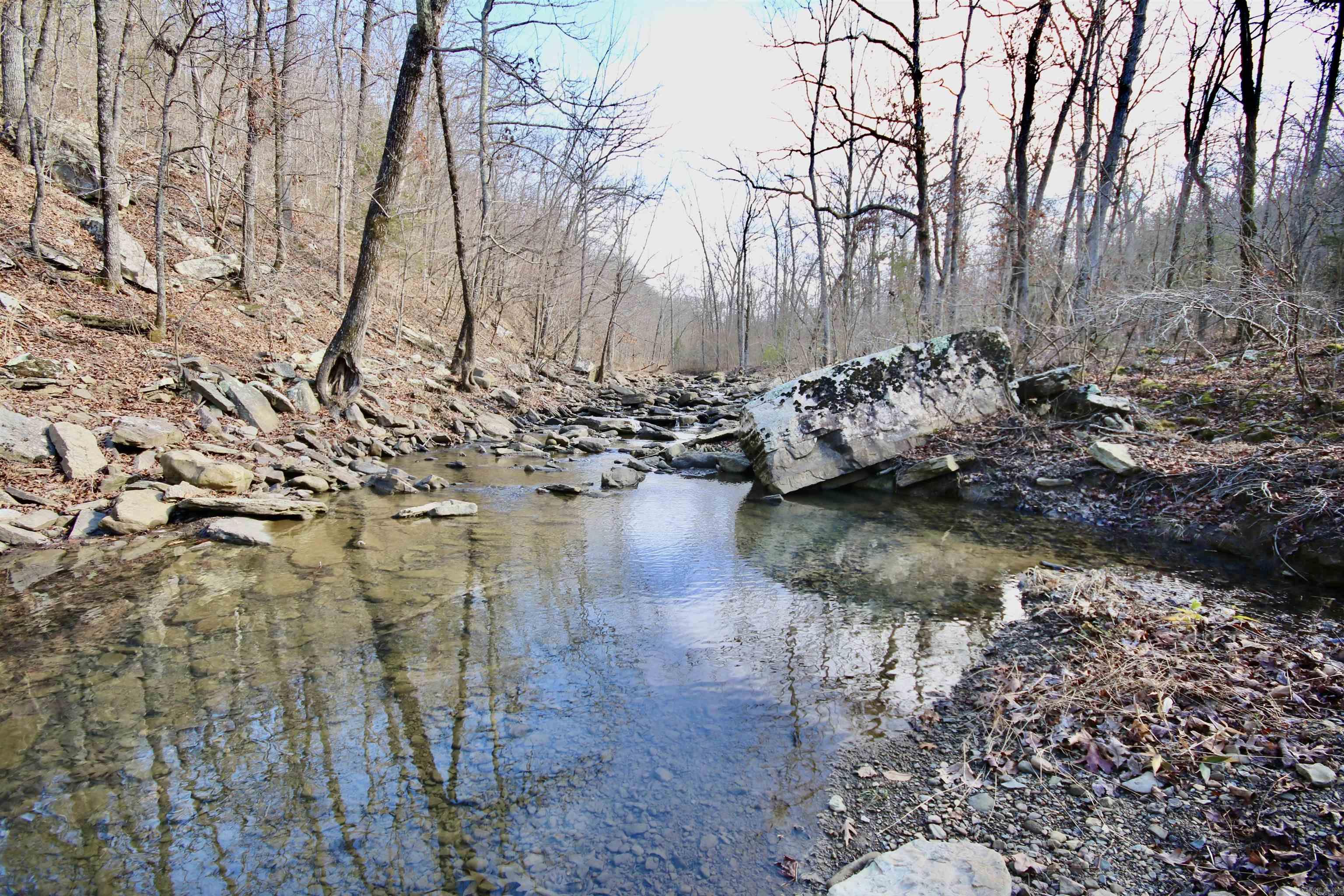 Wilderness Run - Land