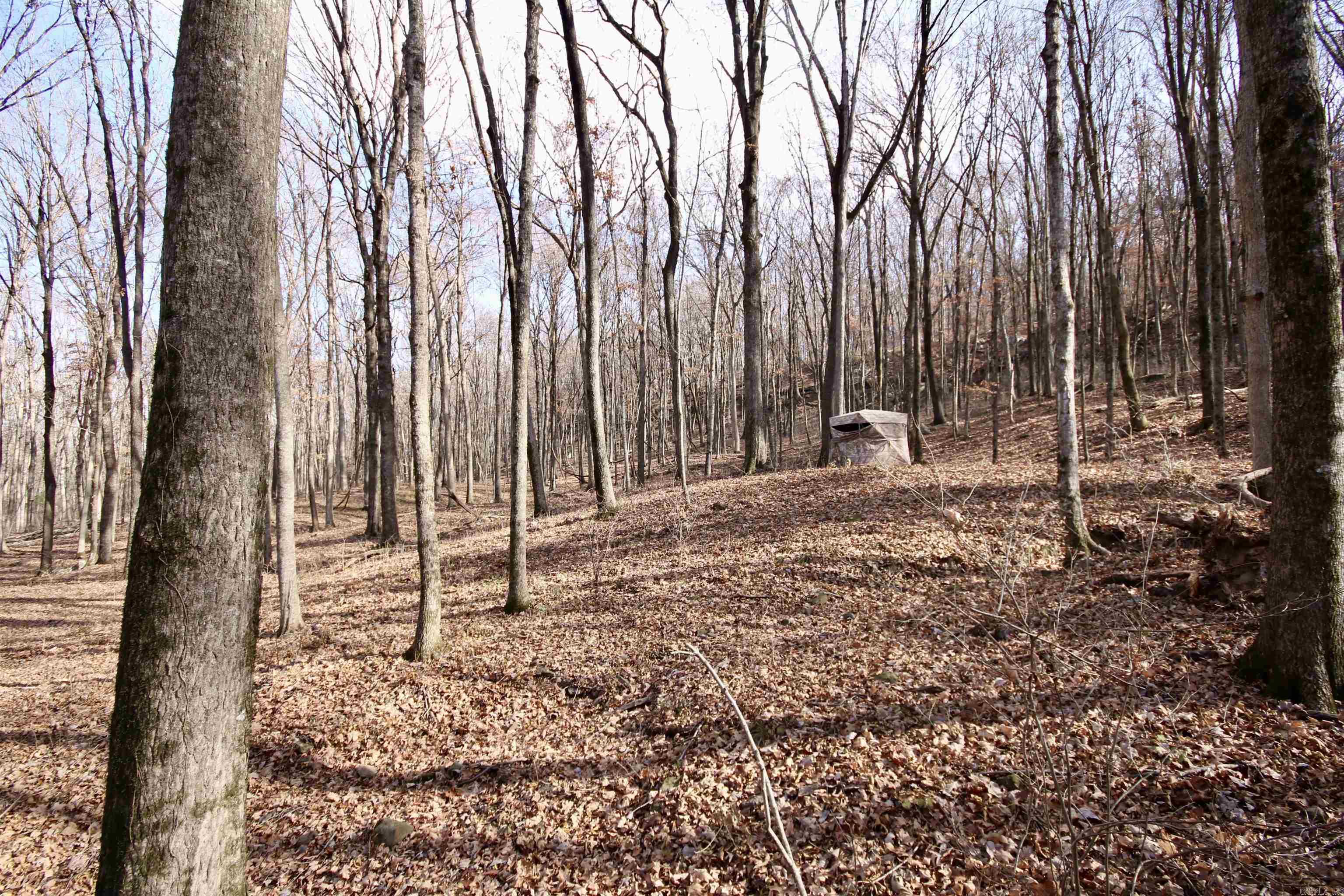Wilderness Run - Land