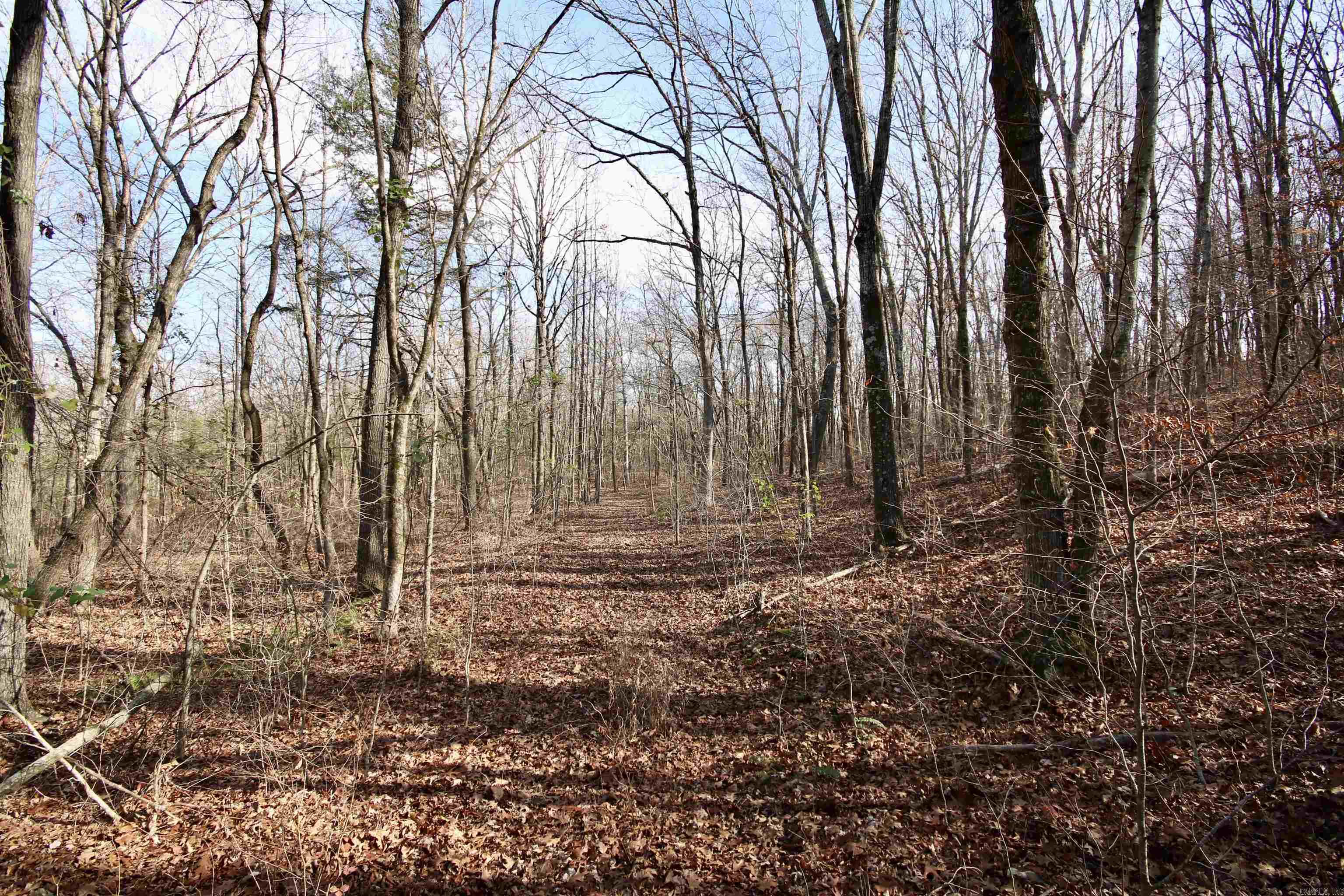 Wilderness Run - Land