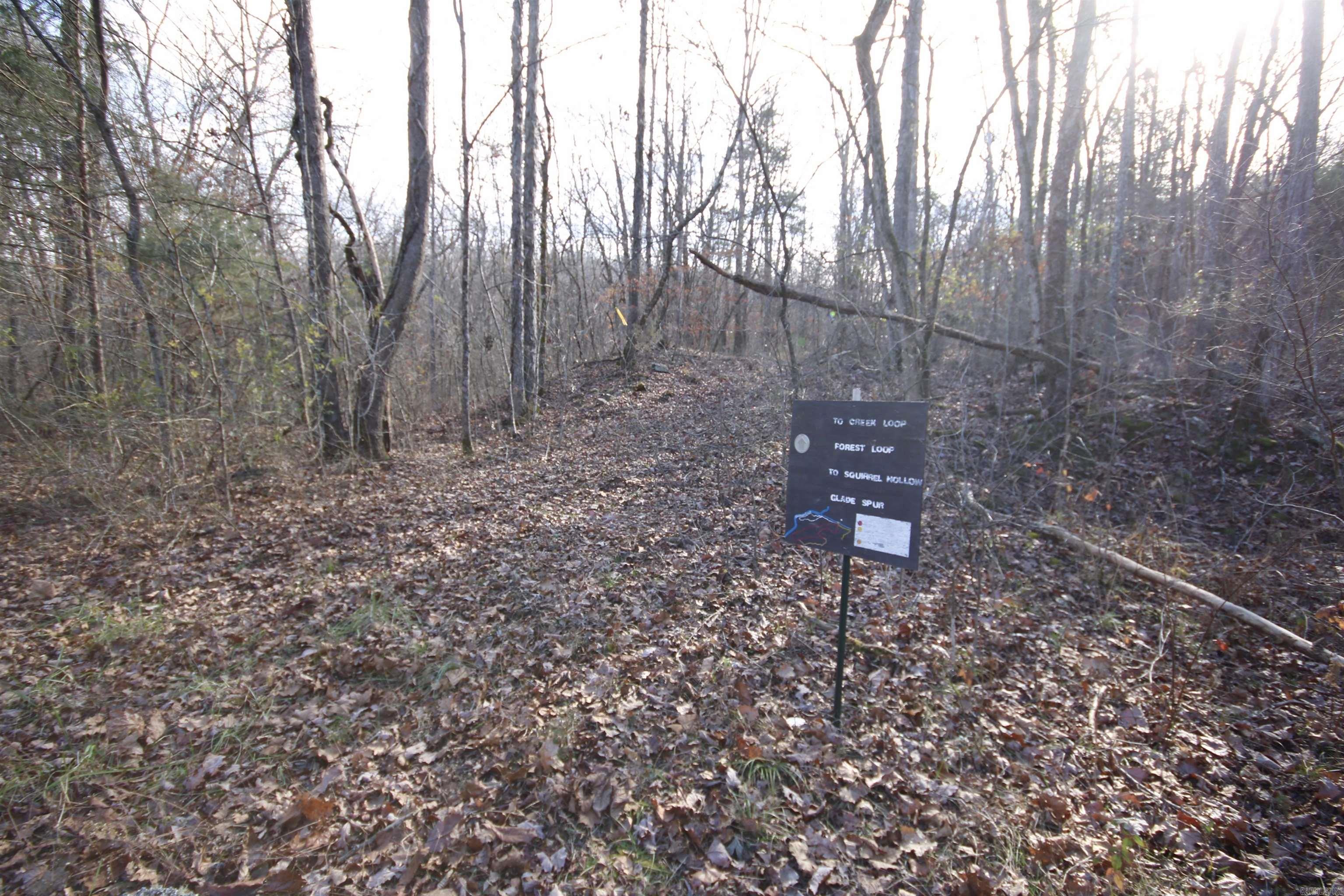Wilderness Run - Land