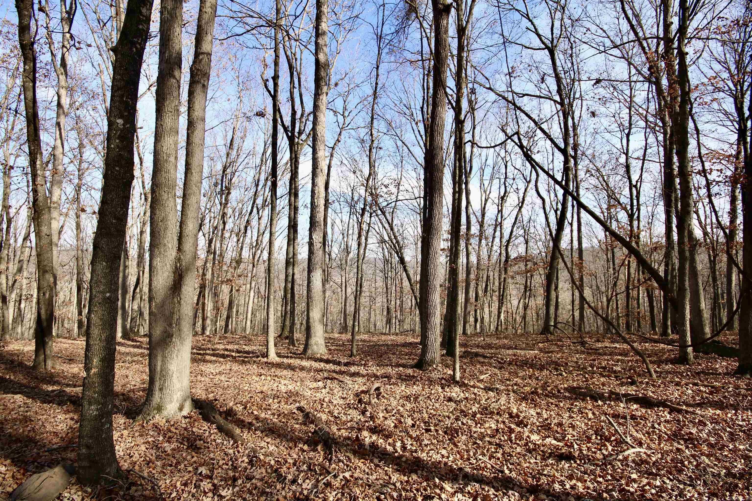 Wilderness Run - Land