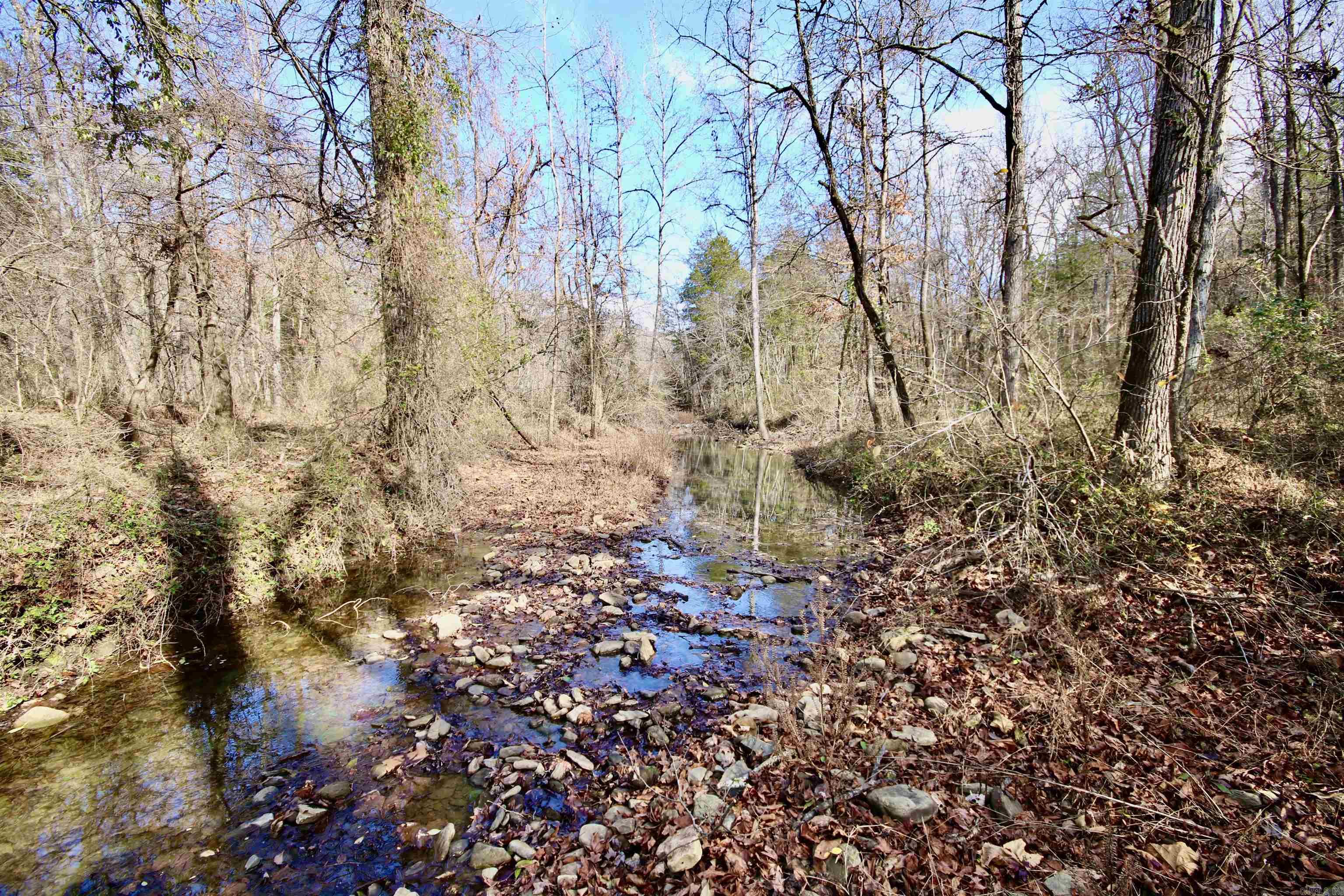 Wilderness Run - Land