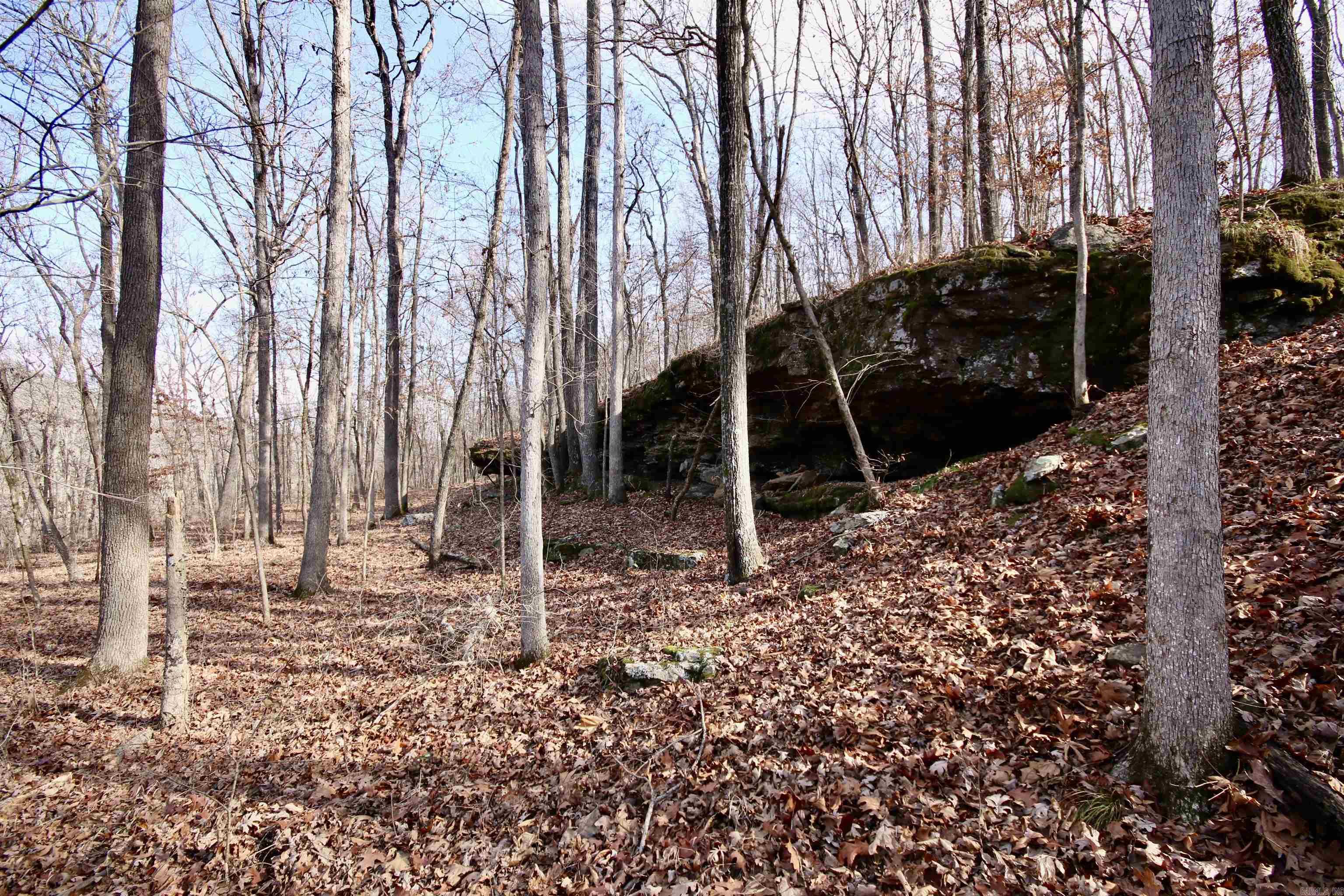 Wilderness Run - Land