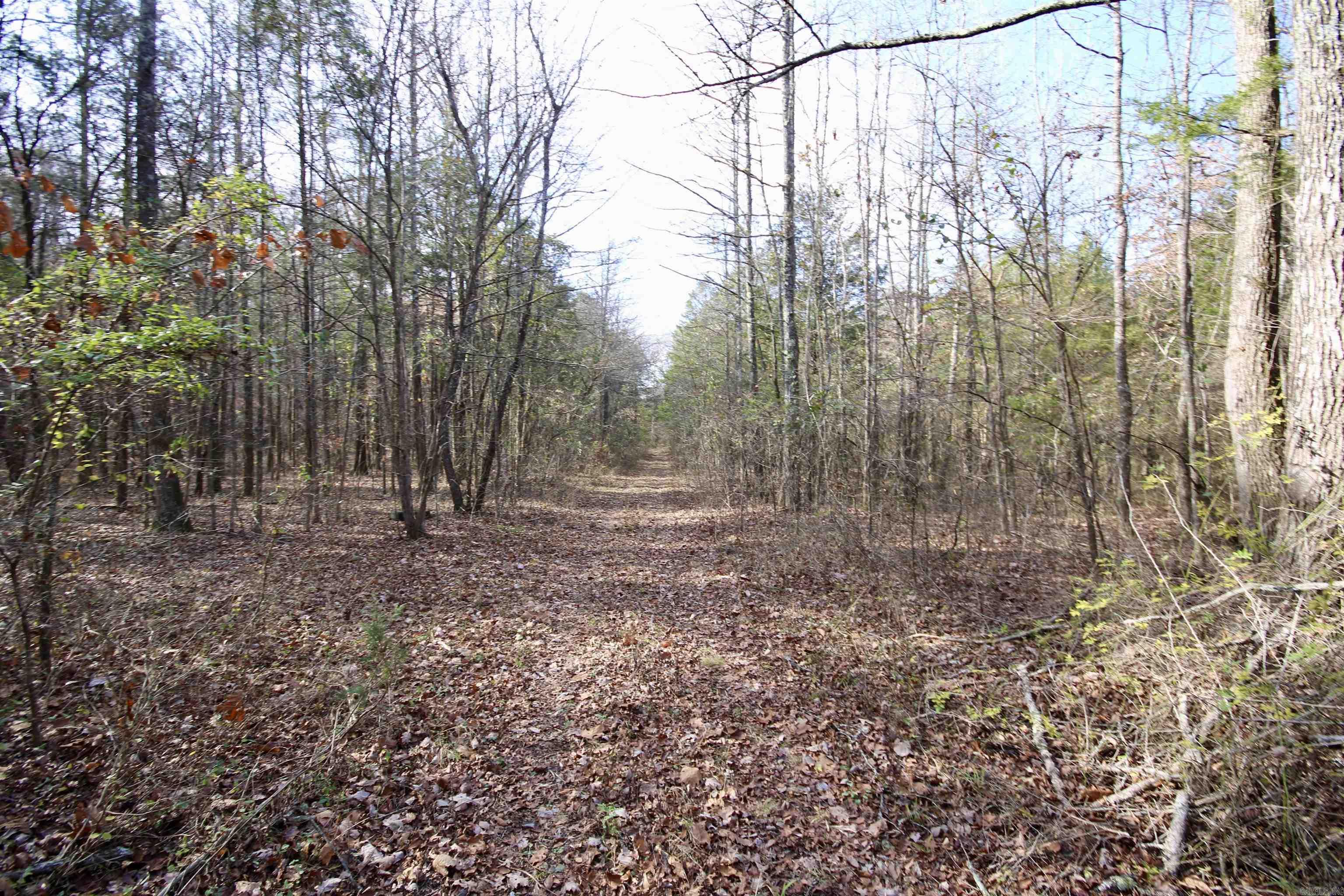 Wilderness Run - Land