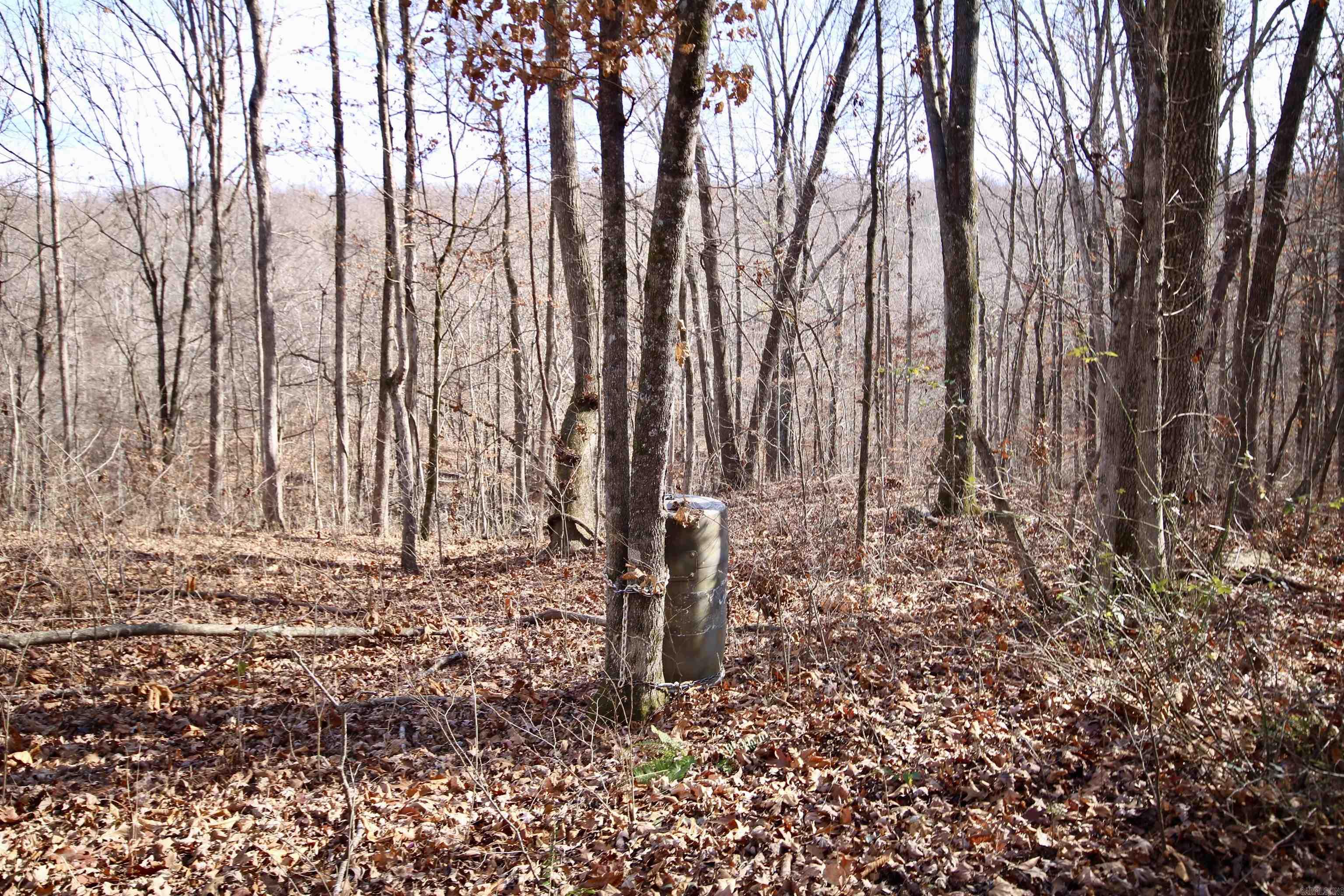 Wilderness Run - Land