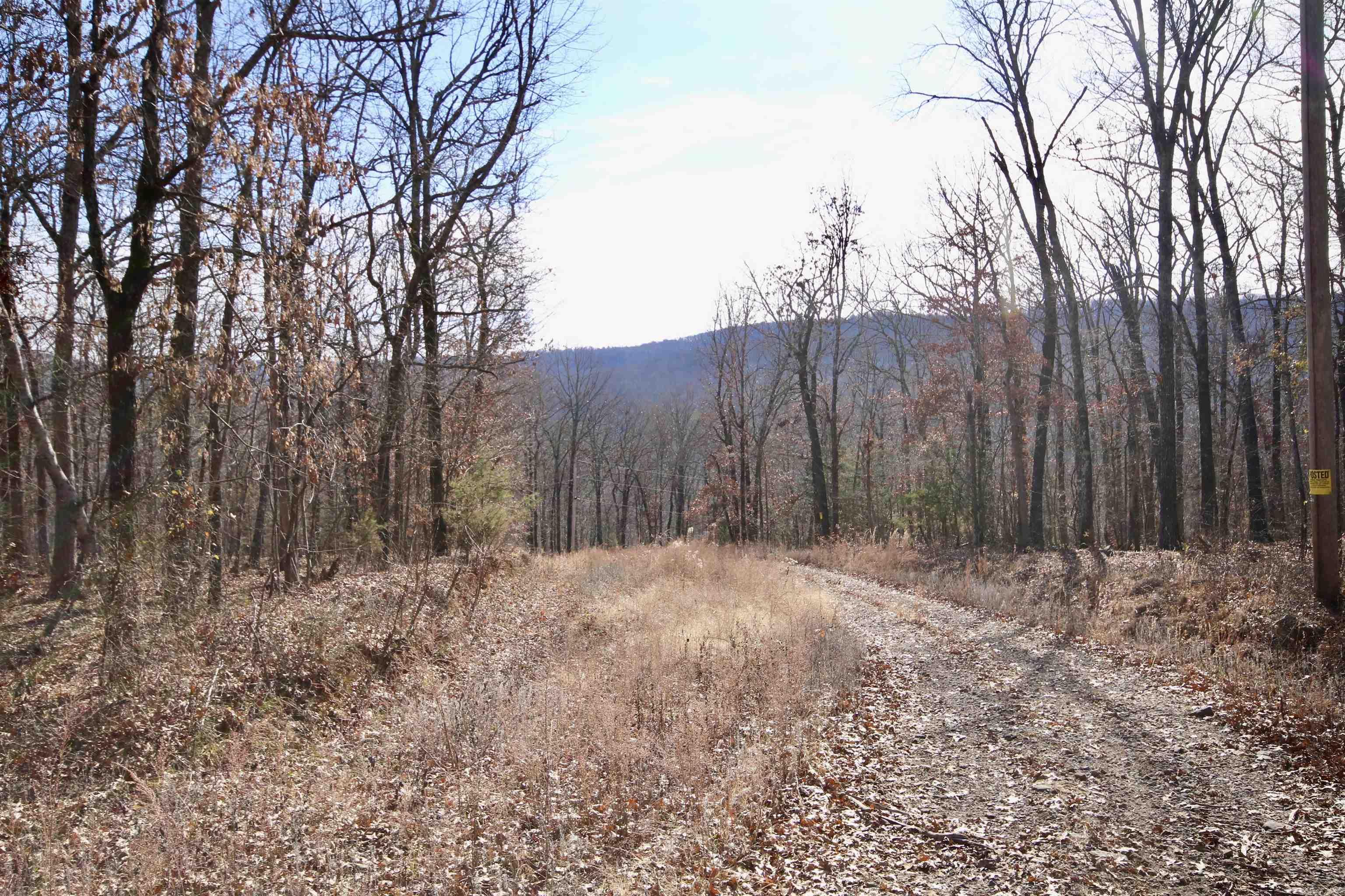 Wilderness Run - Land