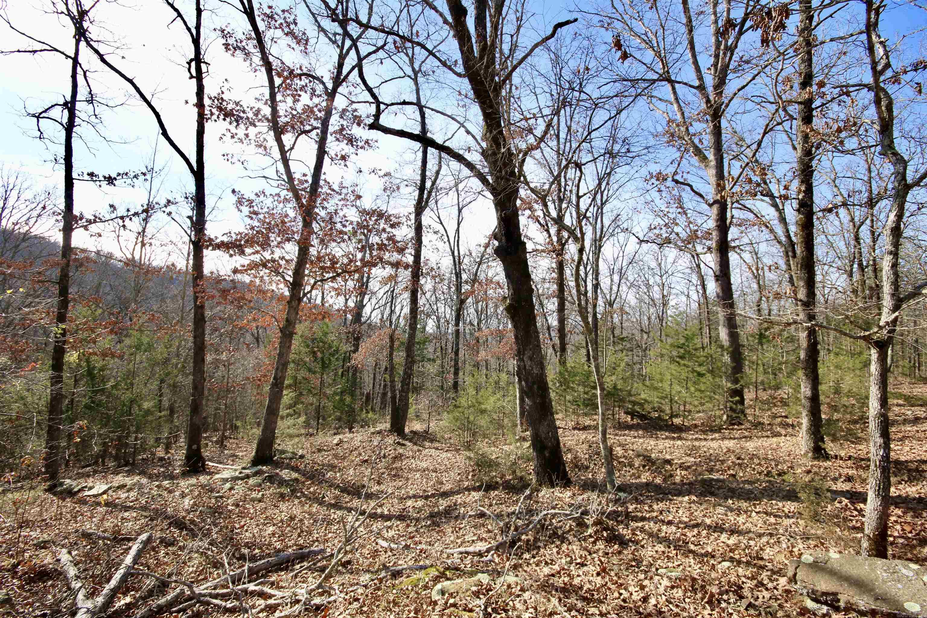Wilderness Run - Land