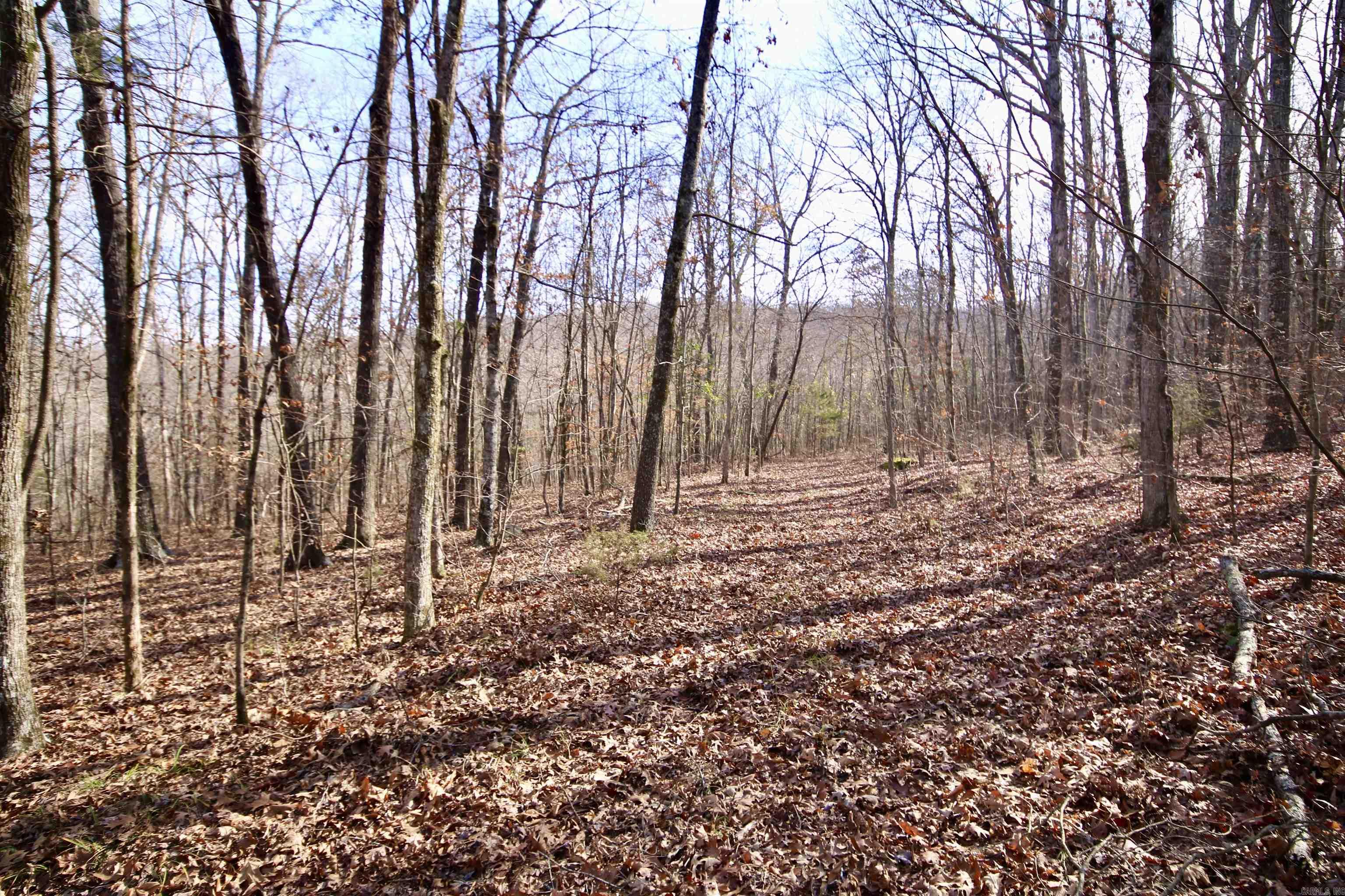 Wilderness Run - Land