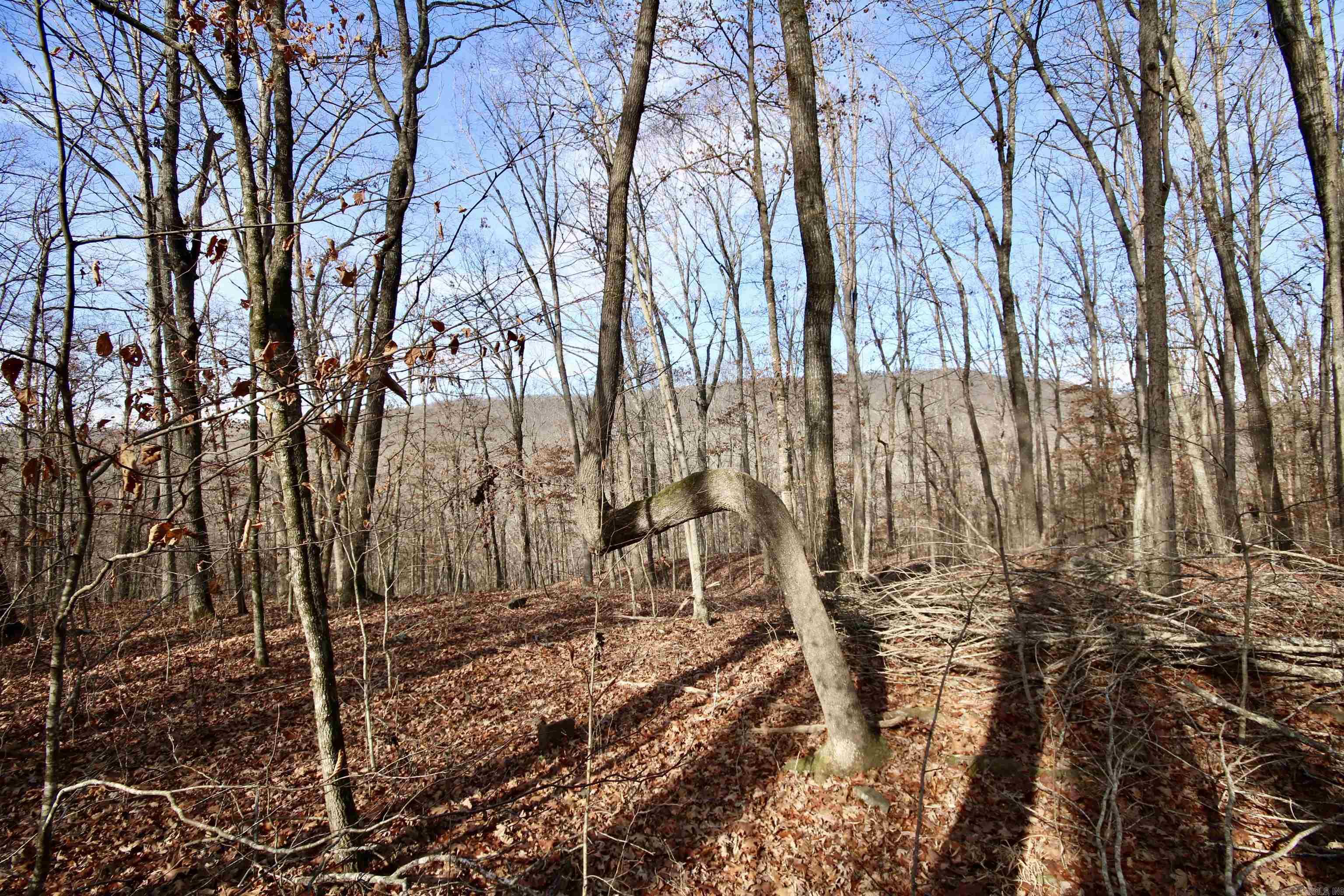 Wilderness Run - Land