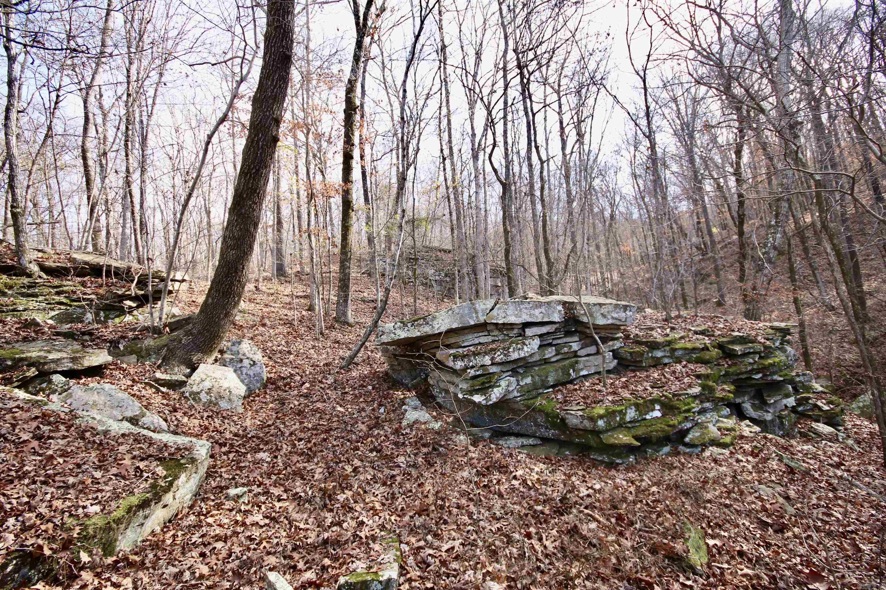 Wilderness Run - Land