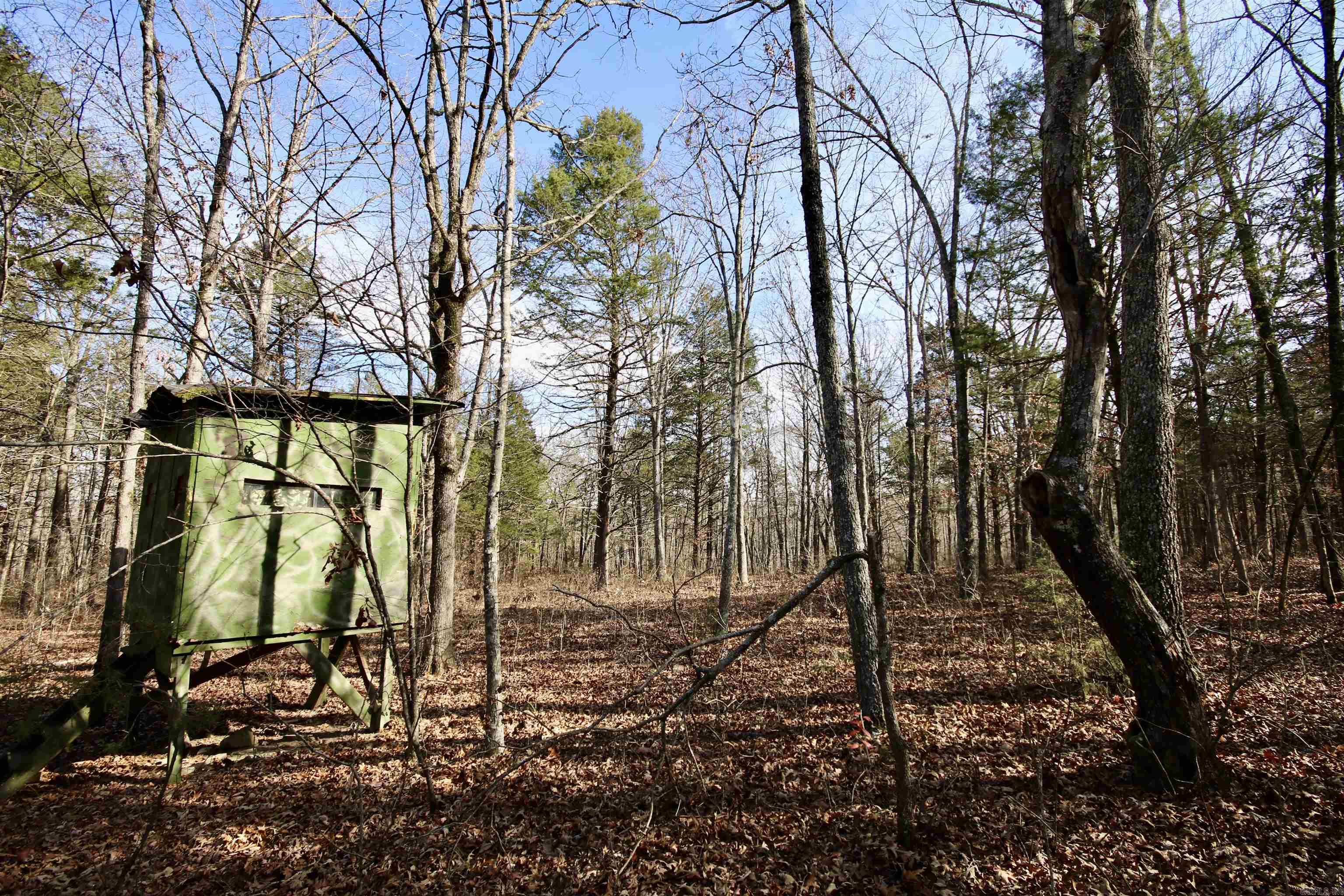 Wilderness Run - Land
