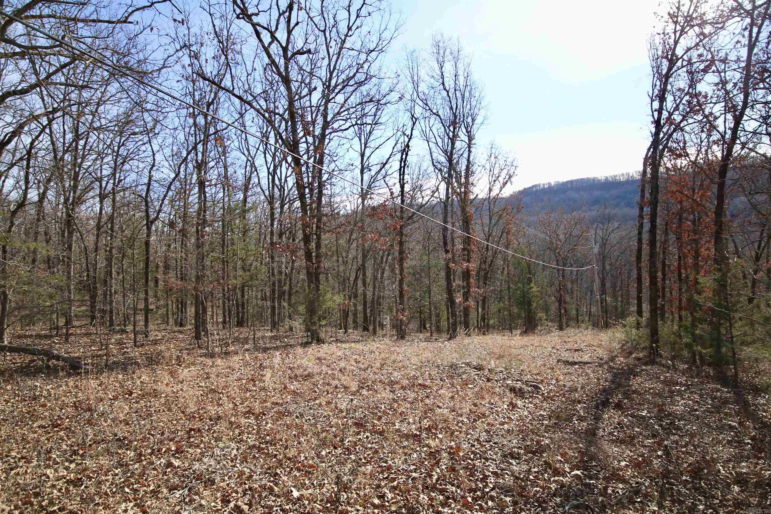 Wilderness Run - Land