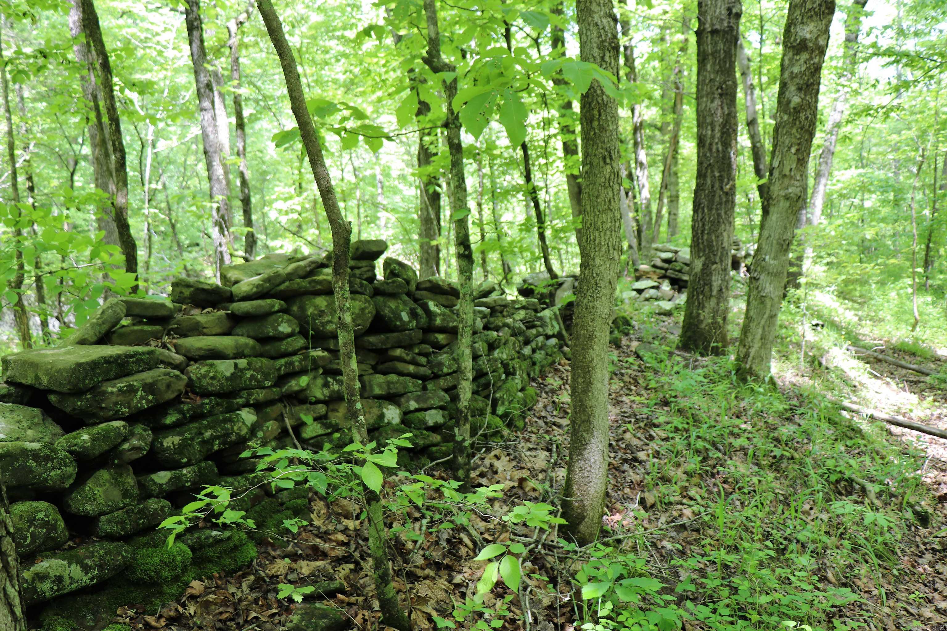 Wilderness Run - Land