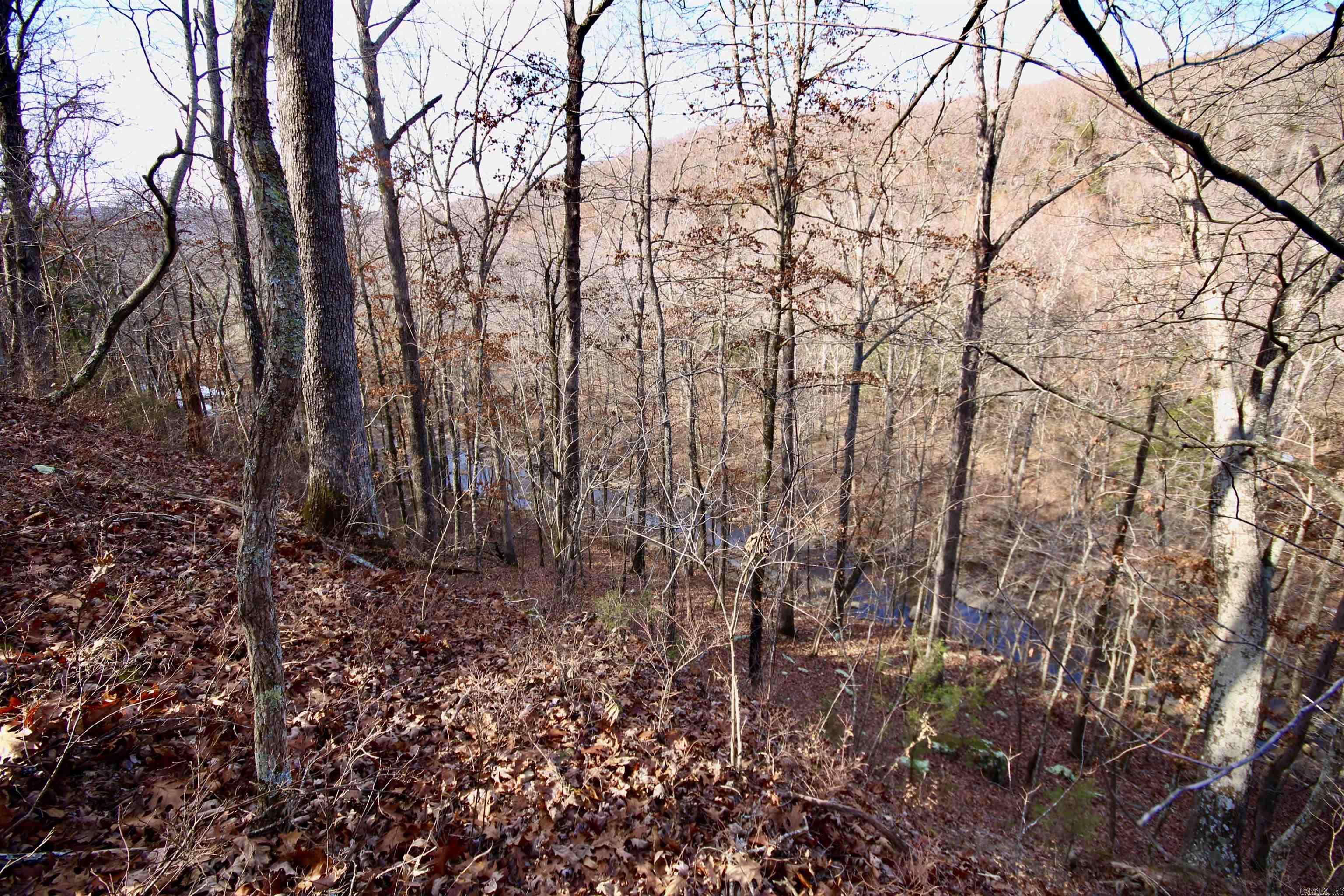Wilderness Run - Land