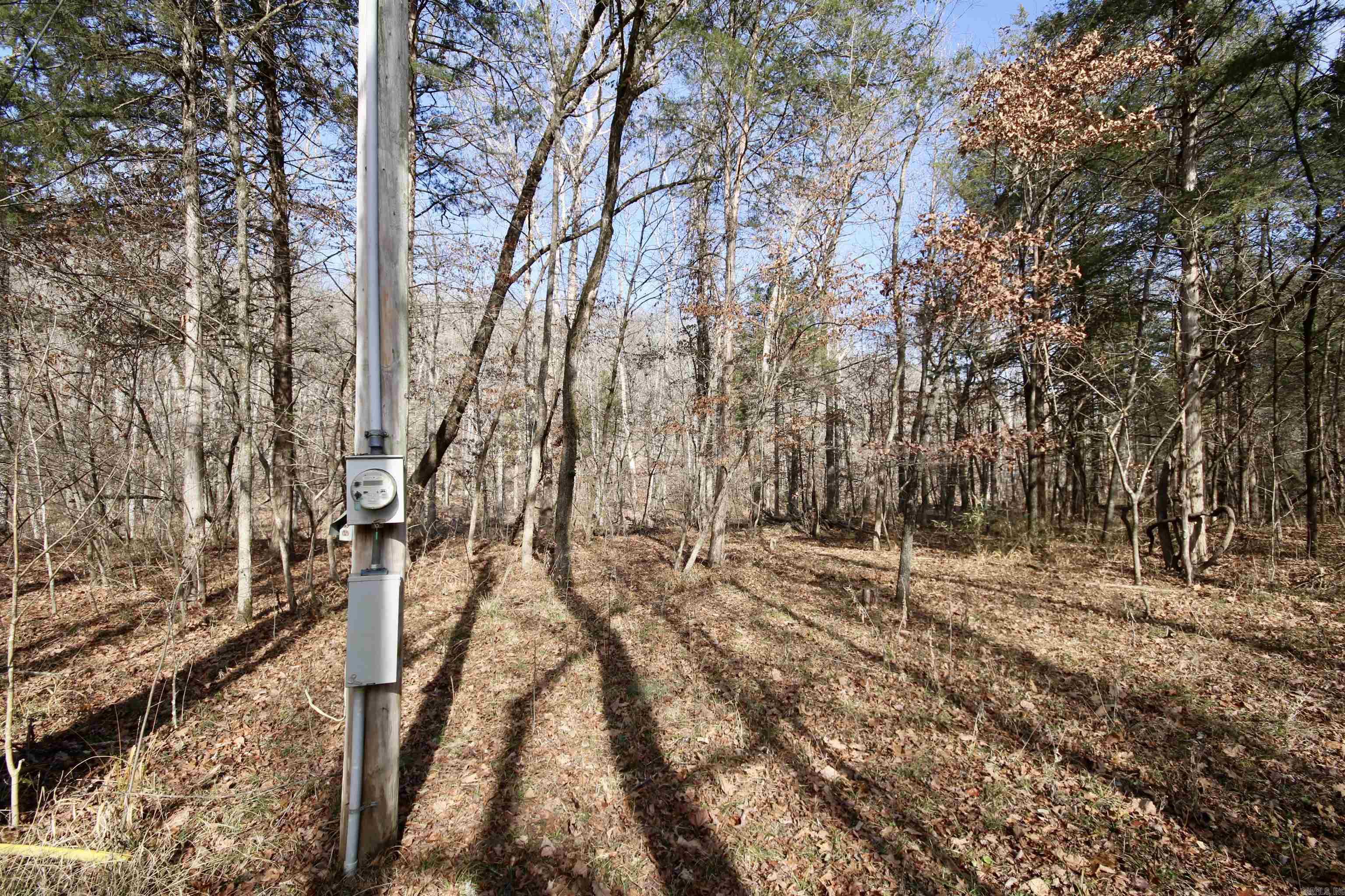 Wilderness Run - Land