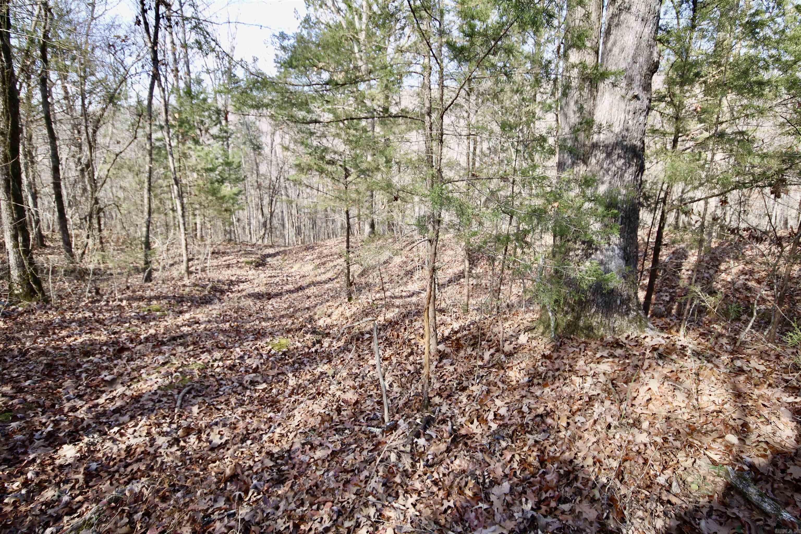 Wilderness Run - Land