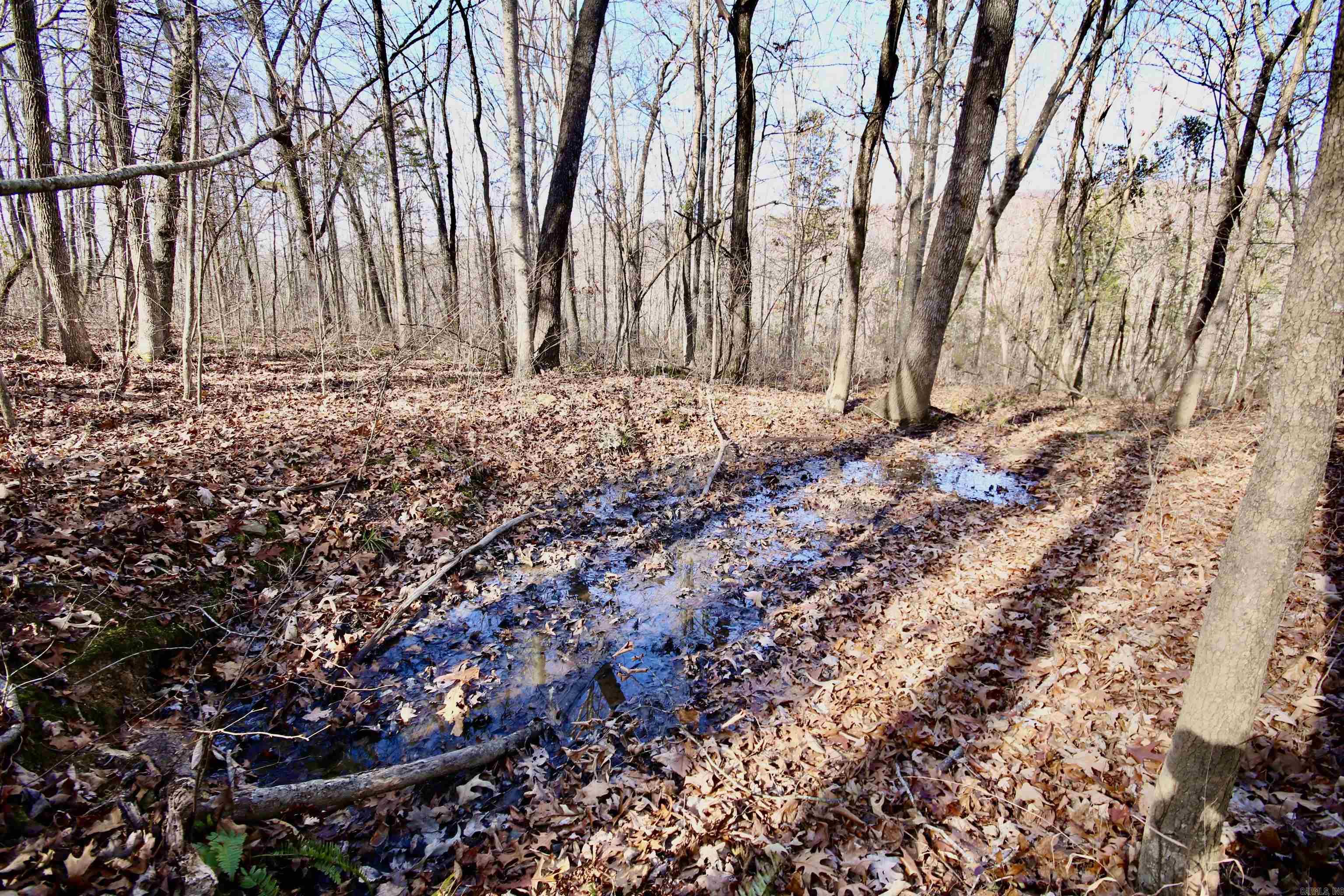 Wilderness Run - Land