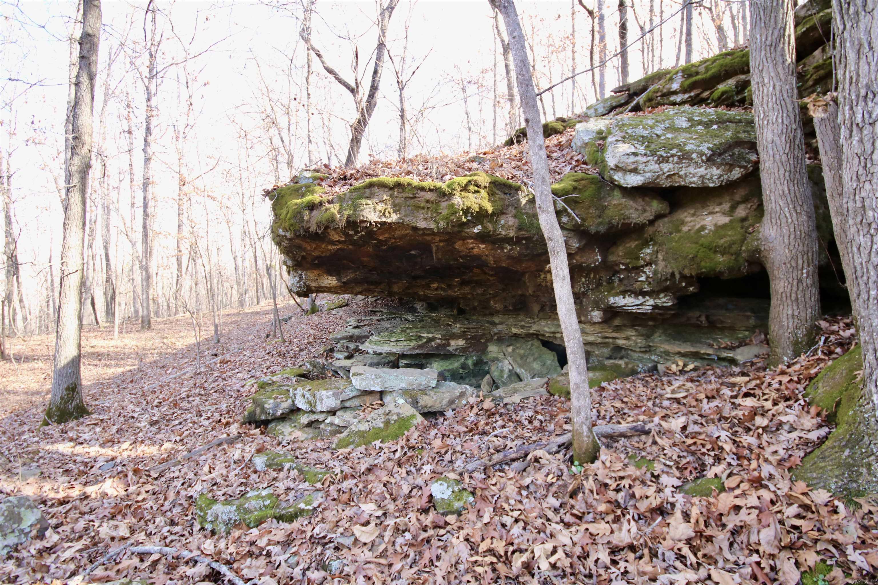 Wilderness Run - Land