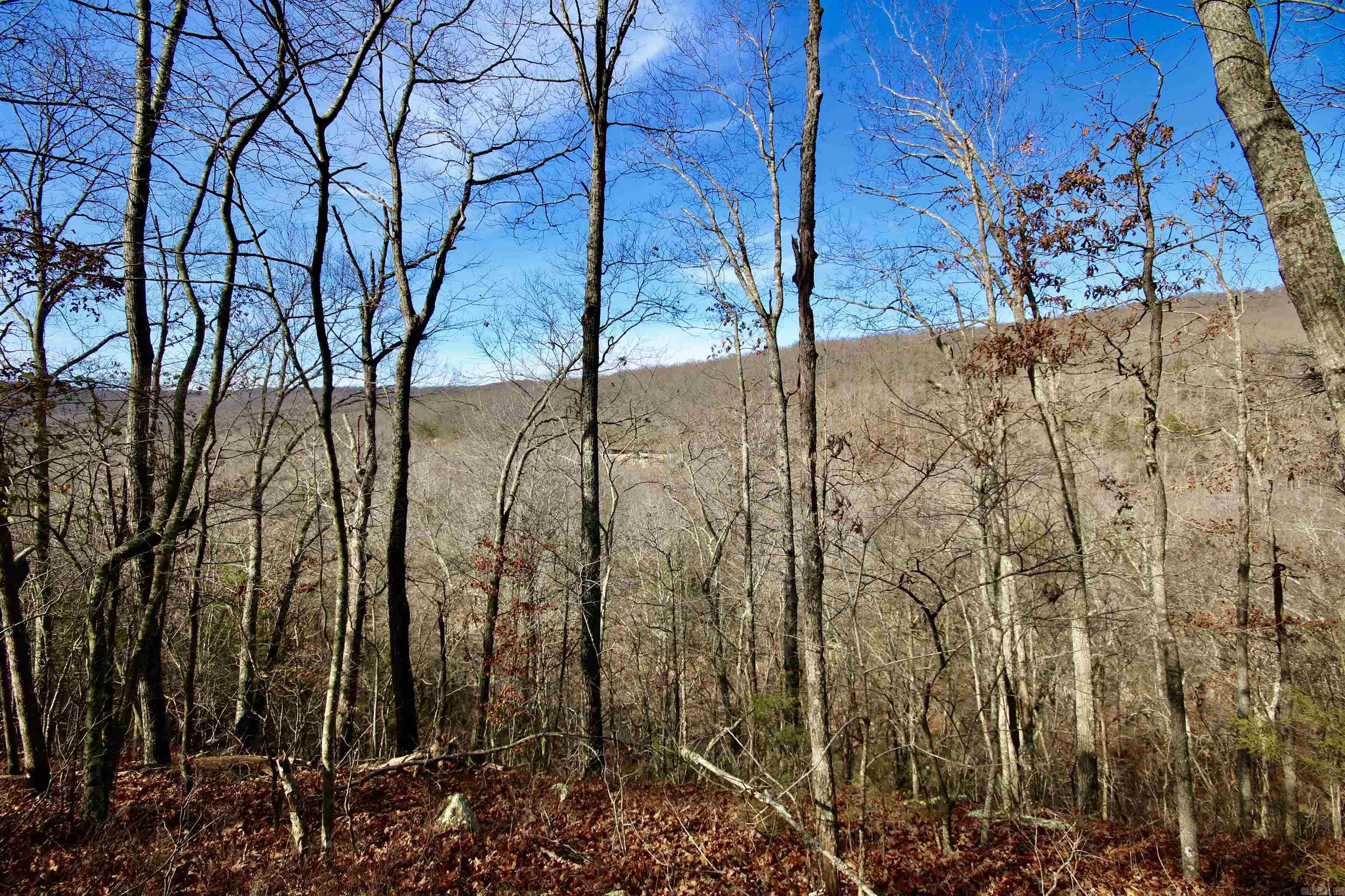 Wilderness Run - Land