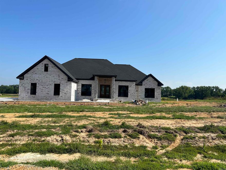 Come see this beautifuly built new construction home sitting out in the country, on a quiet dead end cul-de-sac road. The spacious open floor plan of this 4 bed 2.5 bath house is perfect. The columns out front are sure to make a statement when you drive by. The home features a unique granite through out, custom tile shower in the master, free standing soaking tub in the master, large covered back porch, and a three car garage. ASPHALT ROAD COMING SOON.