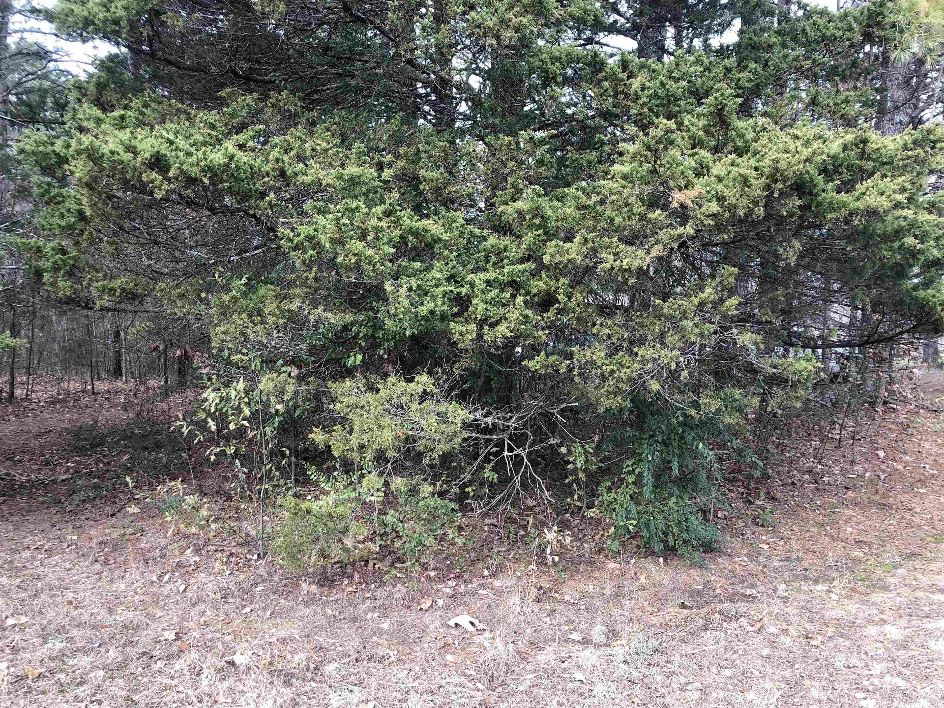 Green Acres Village - Land