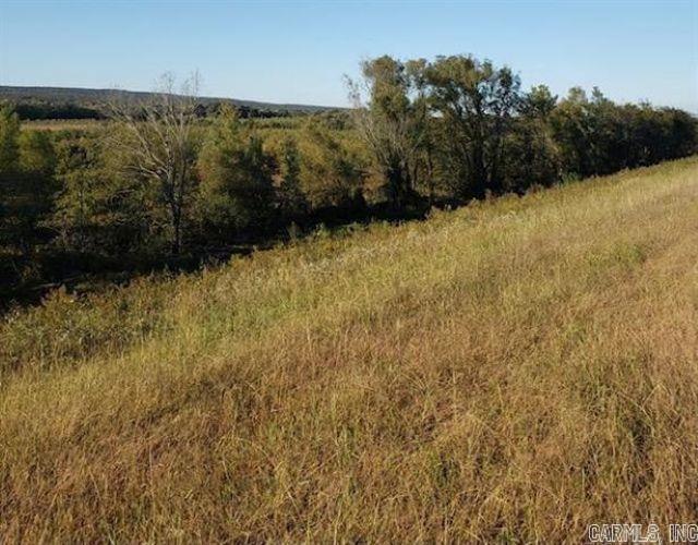 A hunters paradise that is great for turkey or deer hunting. Located near Departee Creek and within a mile from the White River flyaway area. Known to flood which makes it a great habitat for winter nesting. There is approximately 1 year left on the CRP program. Planted in Bald Cypress, Overcup Oaks and Green Ash. The property is divided by Hwy 67 and contains 32.65 acres and 34.12 acres.