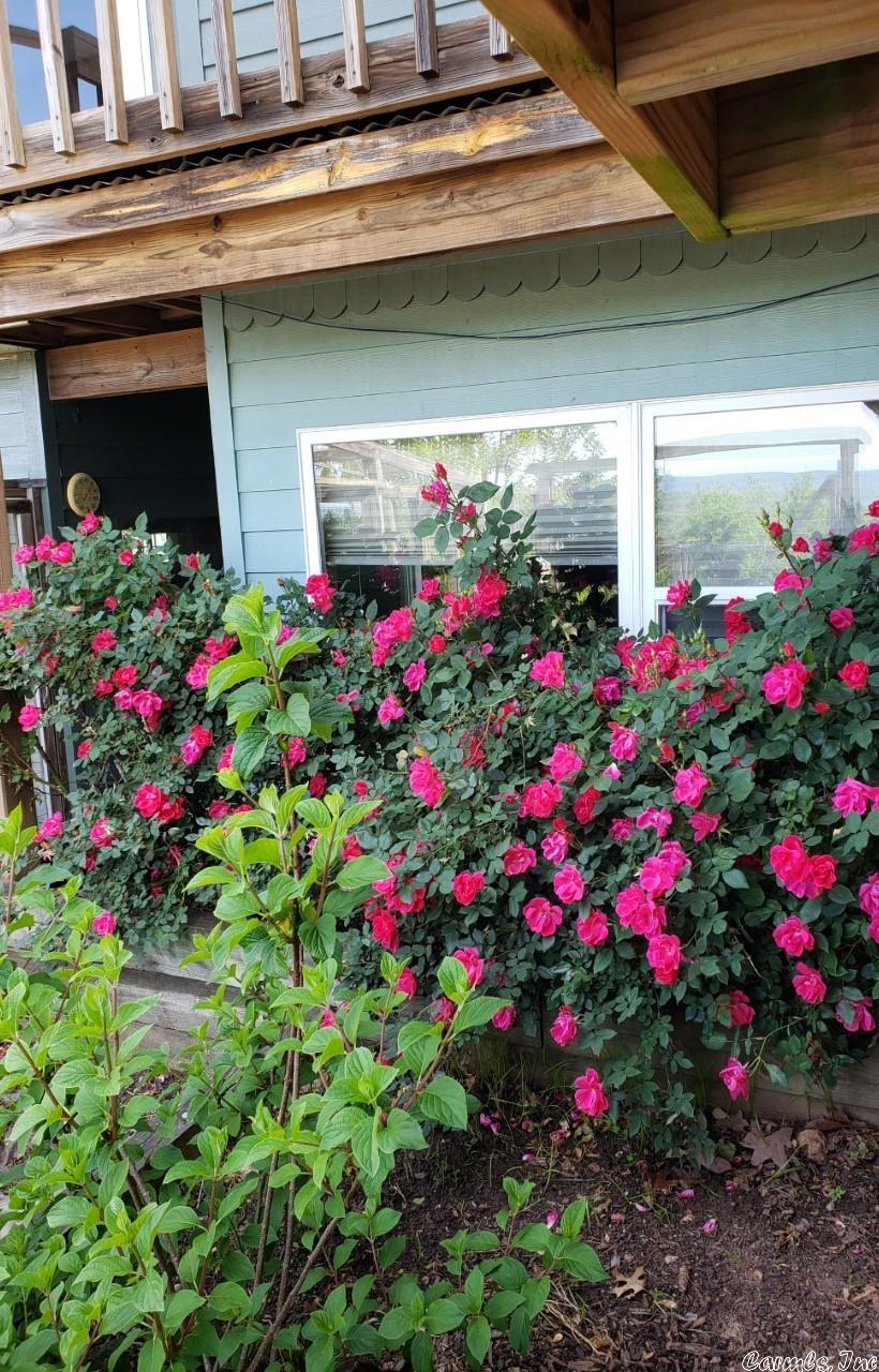 Sunset Ridge Estates - Residential