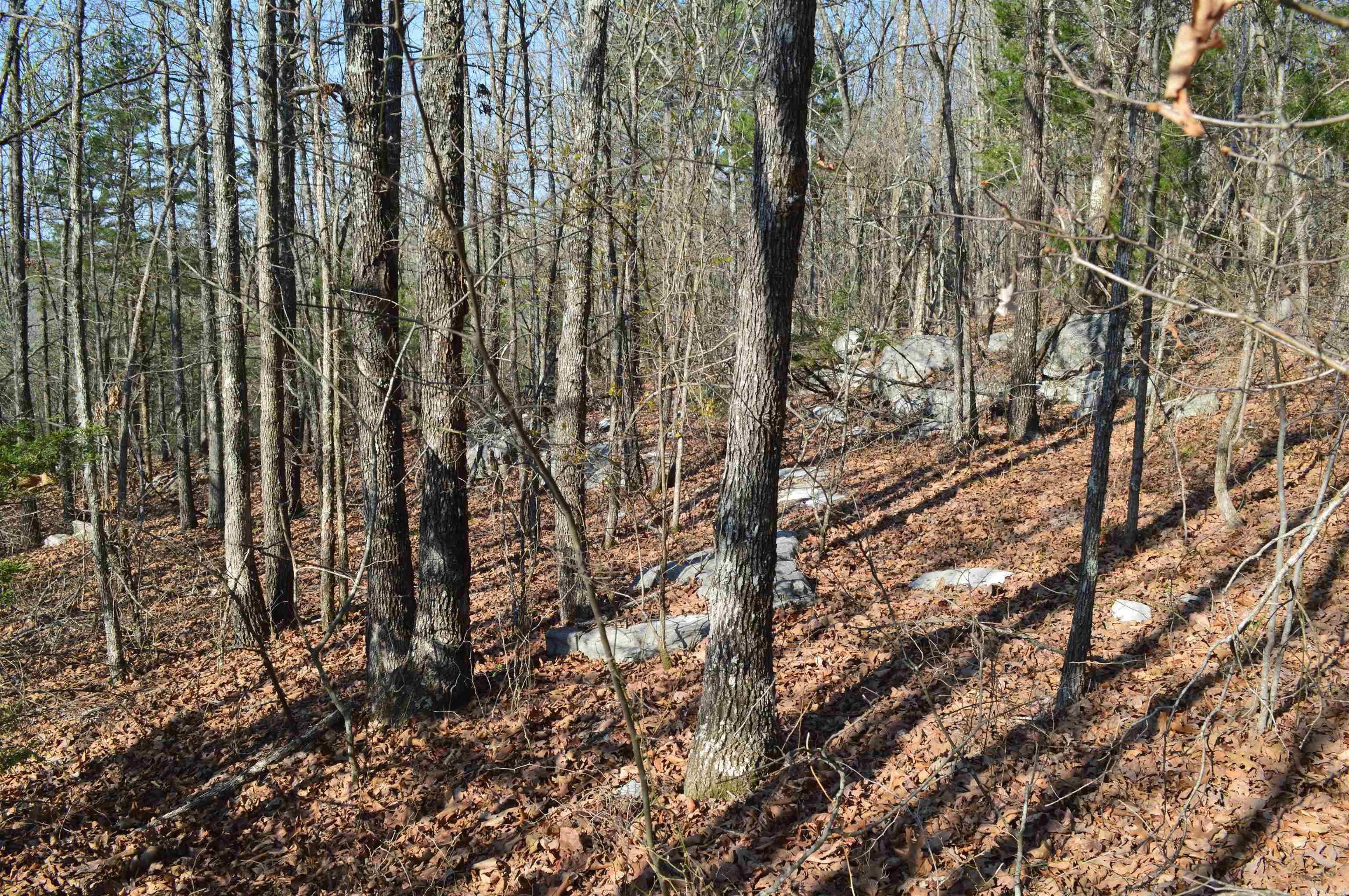 Metes & Bounds - Land