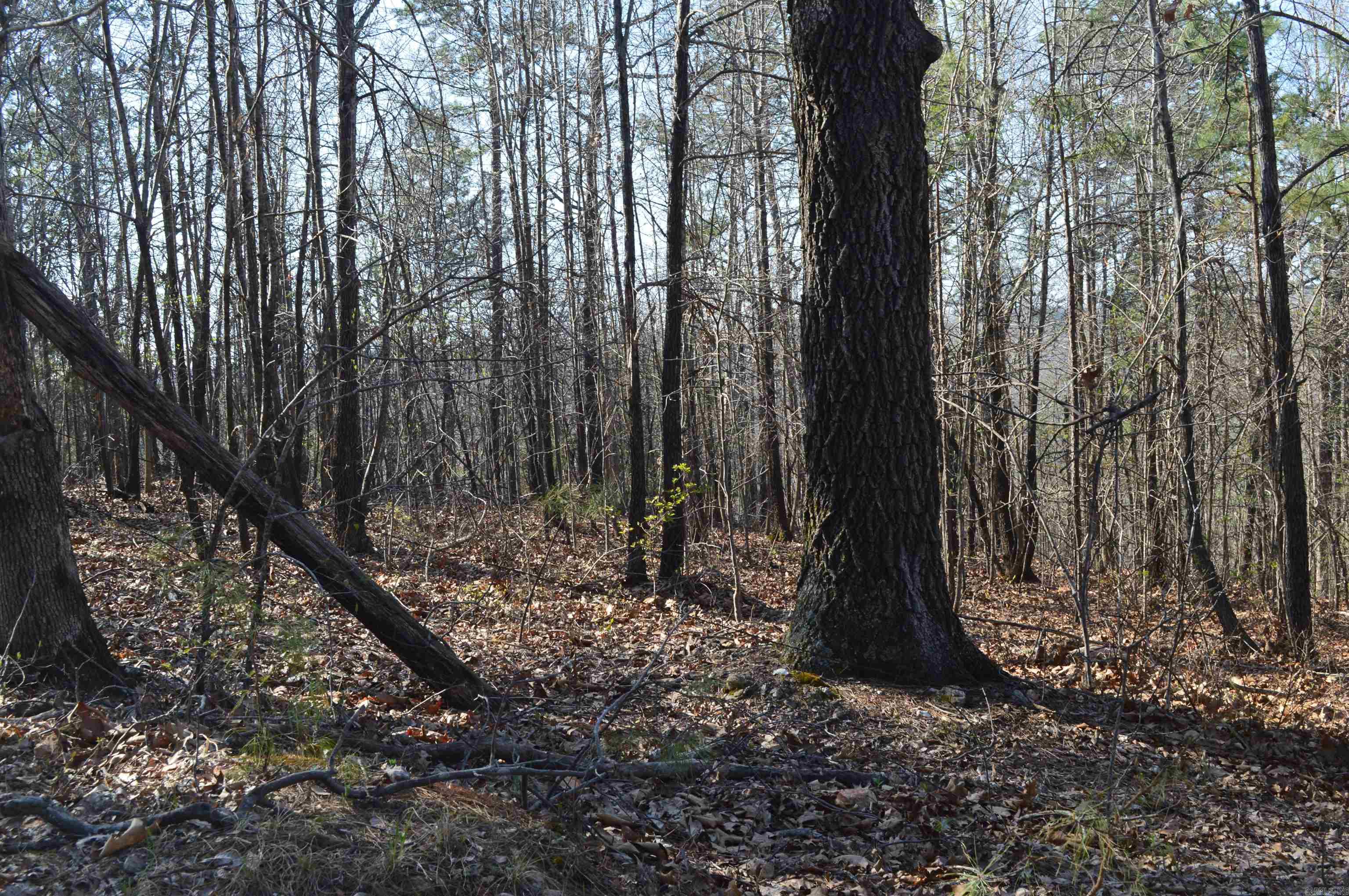 Metes & Bounds - Land