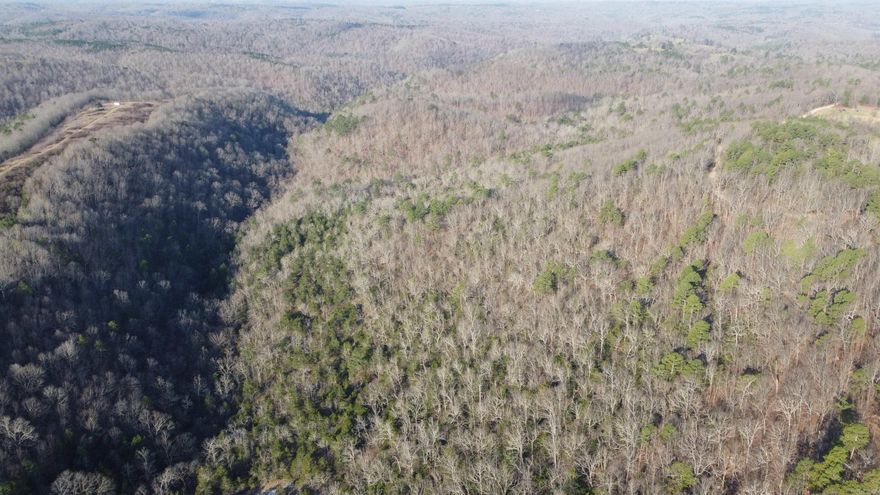 141± Acres – Prime Recreational & Hunting Property in Harriet, Arkansas Discover the perfect blend of seclusion, natural beauty, and outdoor adventure with this stunning 141± acre property located in Harriet, Arkansas. Tucked away with county road access and electricity available, this tract offers an exceptional opportunity for anyone looking to build a dream cabin, private getaway, or hunting retreat. This property boasts great views, rolling terrain, and ample space to create your ideal escape while still maintaining the privacy you’ve been searching for. Wildlife is abundant, making it a hunter’s paradise with frequent sightings of deer, turkey, wild hogs, and other native game. Enjoy the convenience of being just a short drive from the Buffalo River, with close proximity to Buffalo River National Park, Buffalo Point and the Loafer’s Glory Wildlife Management Area—providing even more opportunities for hiking, hunting, and exploring the natural beauty of the Ozarks. Located within easy reach of nearby towns such as Yellville and Marshall, and not far from several area lakes, you’ll have access to fishing, floating, dining, and local amenities without sacrificing peace and quiet.