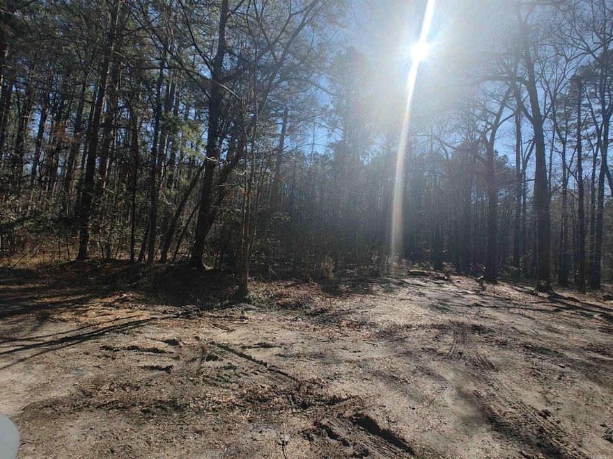 4.8 Acres in Little Rock. It has public utilities at the road (electric, sewer, and water hookups), and would be a perfect opportunity for an investor or builder. There are an additional approximate 5 acres connected to it to the East side of the property. Would prefer to sell with MLS #23018299 12501 Hall Lane and the additional 5 acres to the east which will have an MLS # shortly. Would like to sell all 3 parcels together if possible.  Legal: 1S-13-16 Damon LN PT SW NE BEG NW COR E 643.5' S330' W643.5' N330' TO POB EXC 73 AC FOR DAMON LANE 16 1S 13W