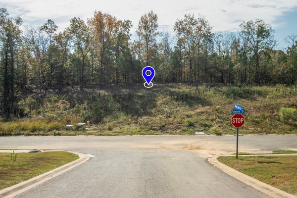 14 PAWNEE DR, CABOT, AR 72023 - Image cc66c20faffdce725109b8342f794e7d/18878193
