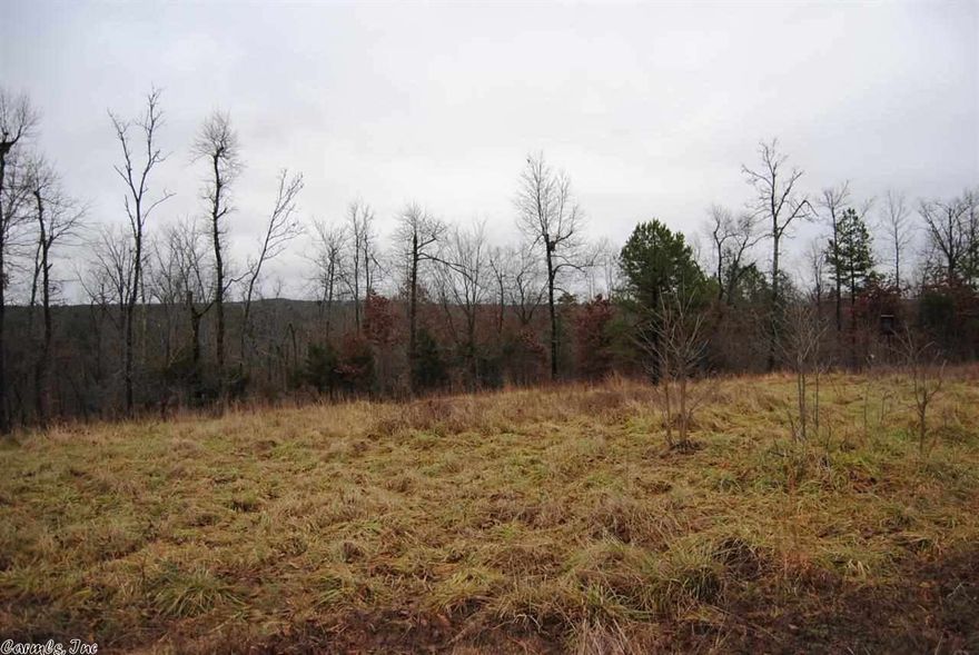 Hunter Paradise --- 60 acres with a 980 sq. ft. mobile home Has water and electric and a septic to trailer, Has app. 5  acres in pasture, Property is fenced , very private, near Fox Ark. Lots of wildlife on property, Has some pasture if you have horses, Has a creek on bottom side, Trailer is app 7 year old,  Good Road  to property can drive a car right to Trailer, It is a nice place to build you a new home on, has views, Private setting,  Need to take a look at this Property, Owner said priced to sell.