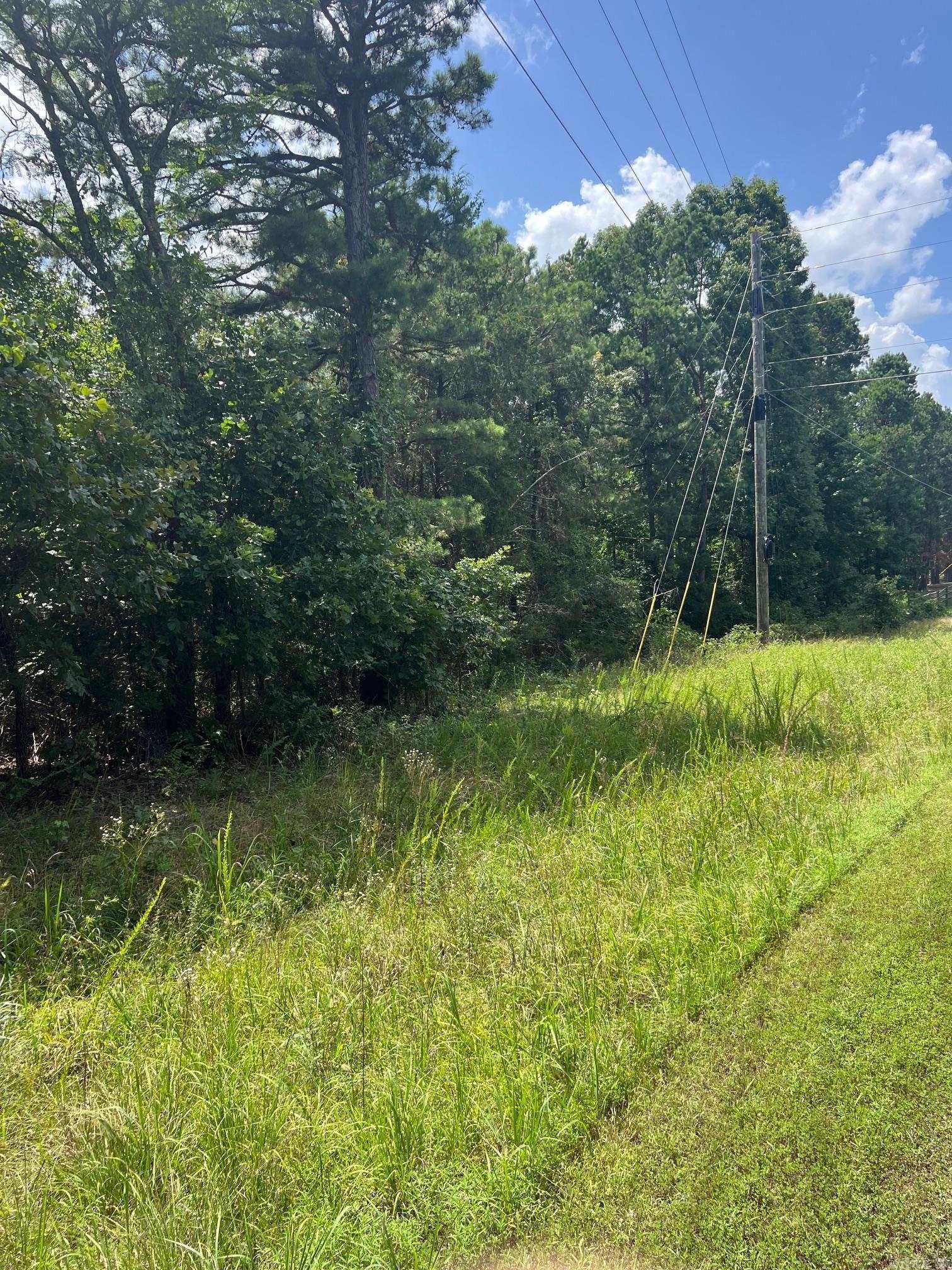 This parcel of land is very close to Greers Ferry Lake and has had a mobile on it in the past. Water has been there and electric. This has a nice level spot to build your home within minutes to the river or lake. Only a short drive to Clinton, Shirley, Fairfield Bay and Mountain View. Don't let this nice size piece of property get away.