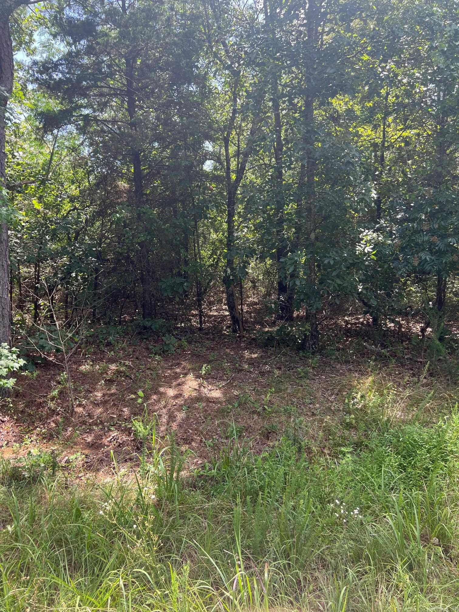 This parcel of land is very close to Greers Ferry Lake and has had a mobile on it in the past. Water has been there and electric. This has a nice level spot to build your home within minutes to the river or lake. Only a short drive to Clinton, Shirley, Fairfield Bay and Mountain View. Don't let this nice size piece of property get away.